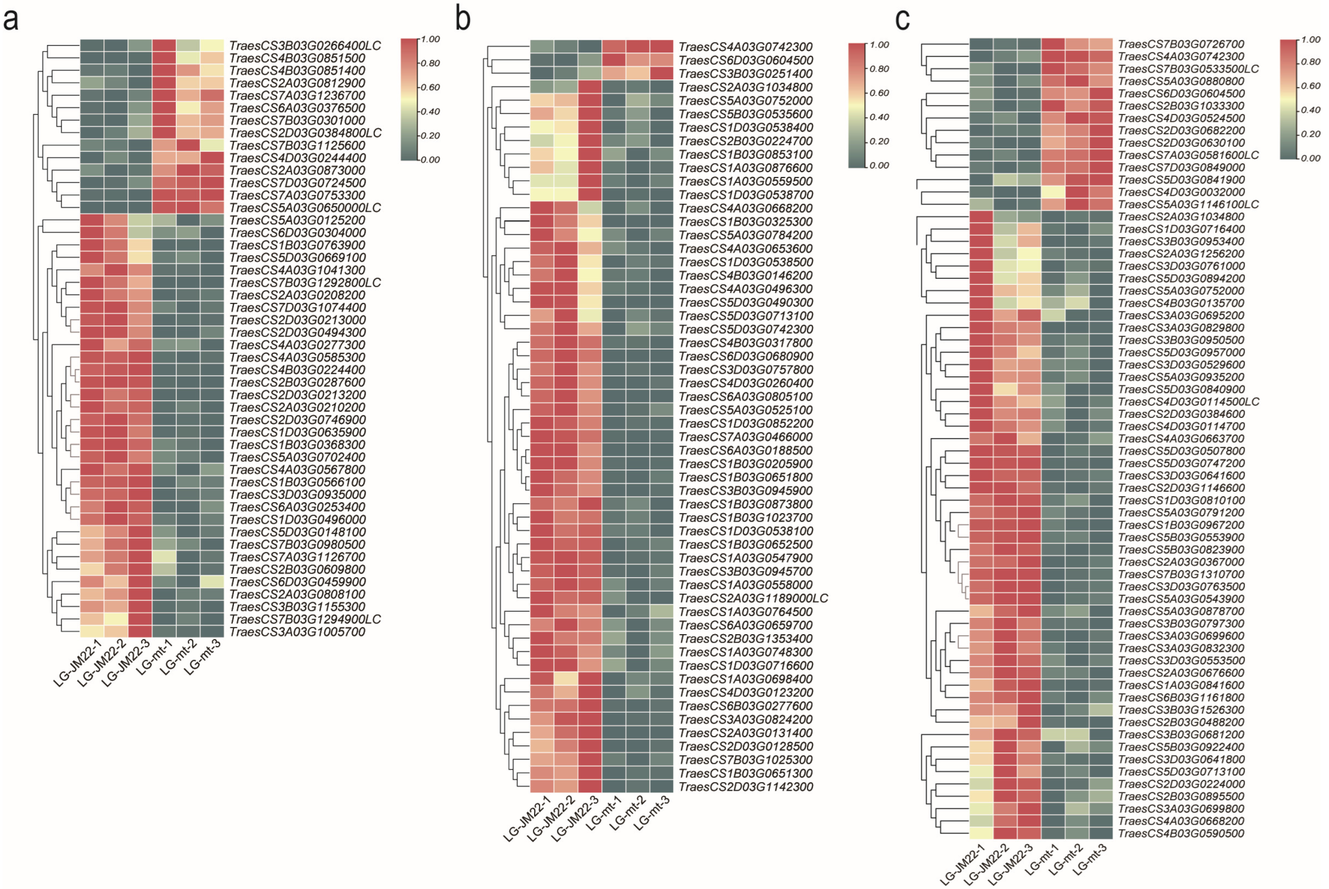 Biology 13 00430 g005
