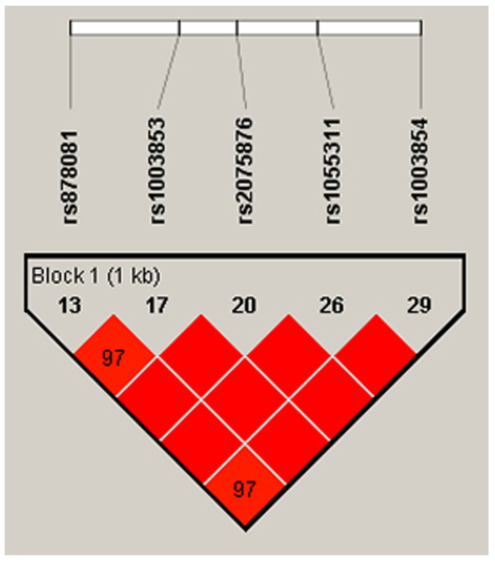 Biology 13 00439 g002
