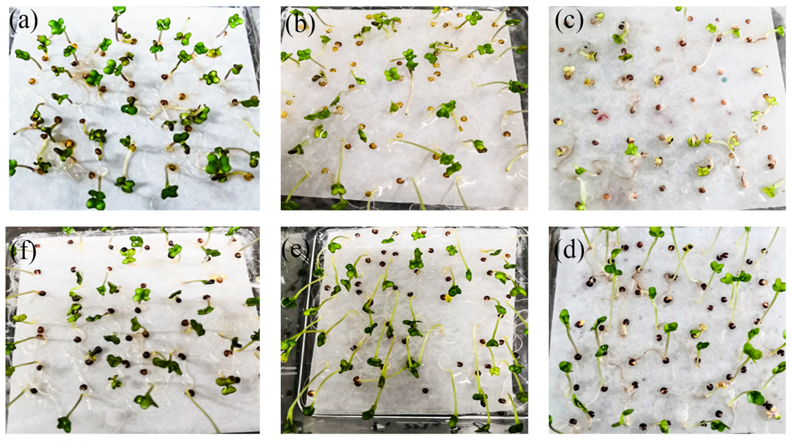 Biology 13 00441 g001