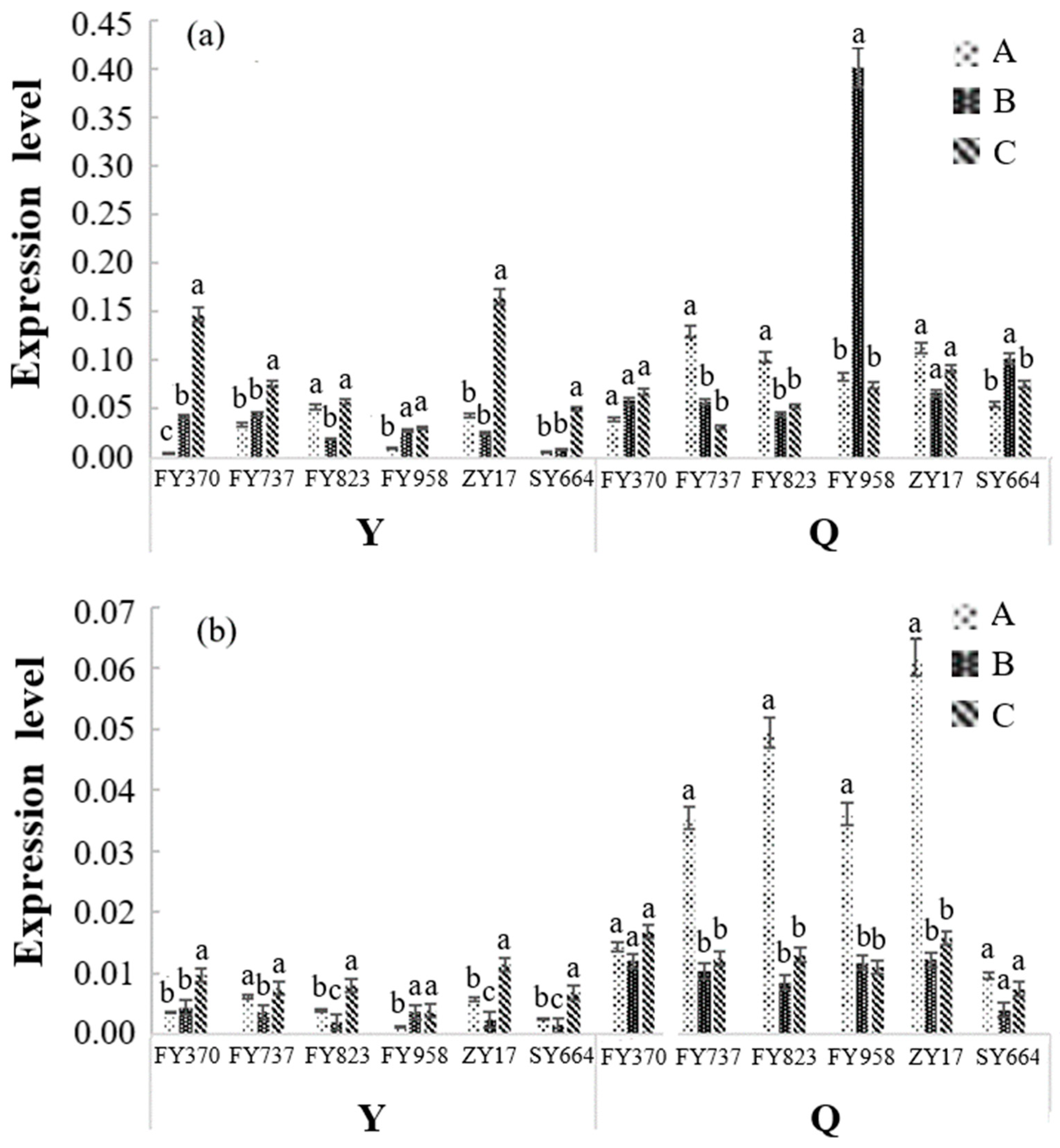 Biology 13 00441 g006