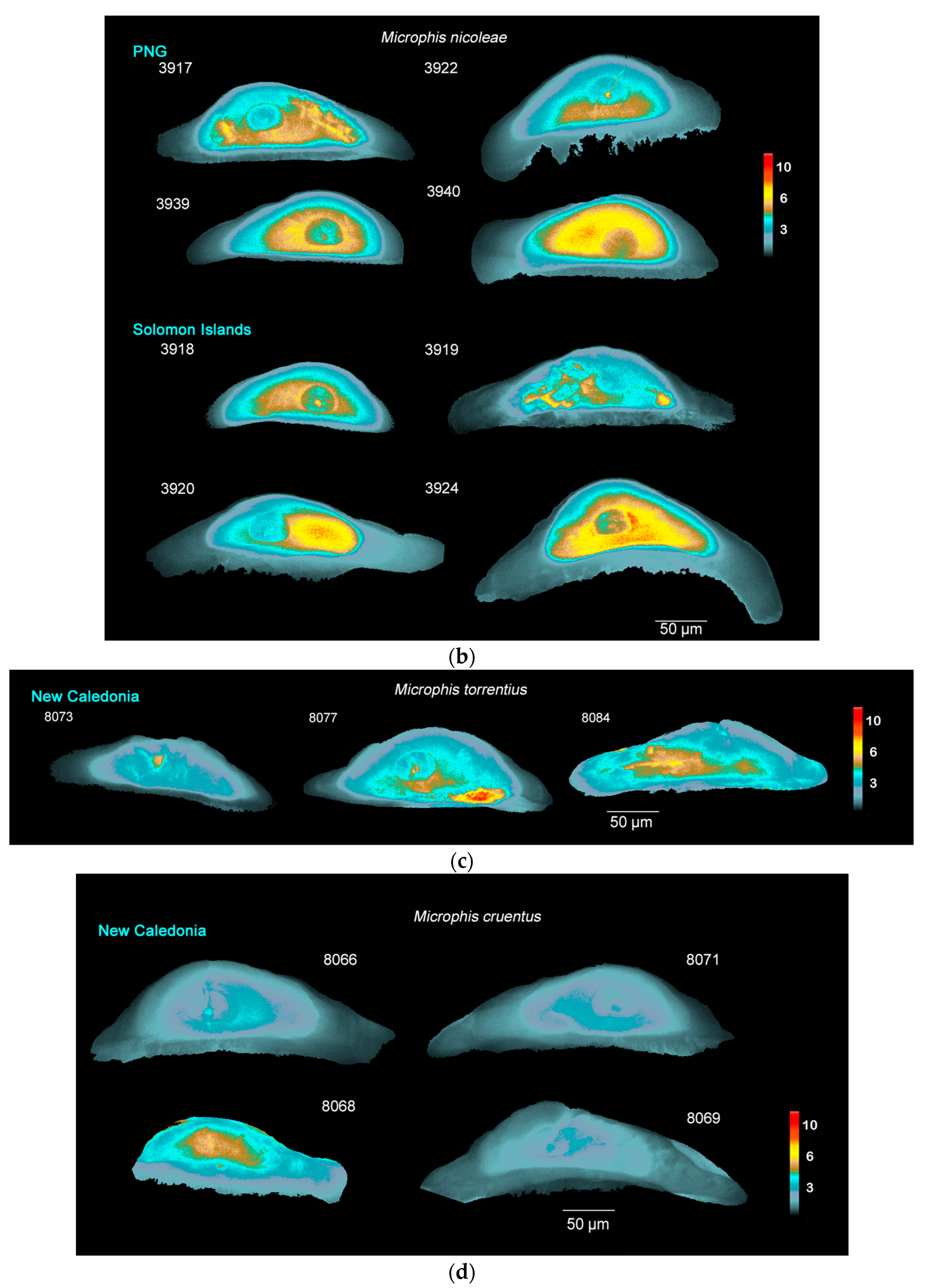 Biology 13 00446 g003b
