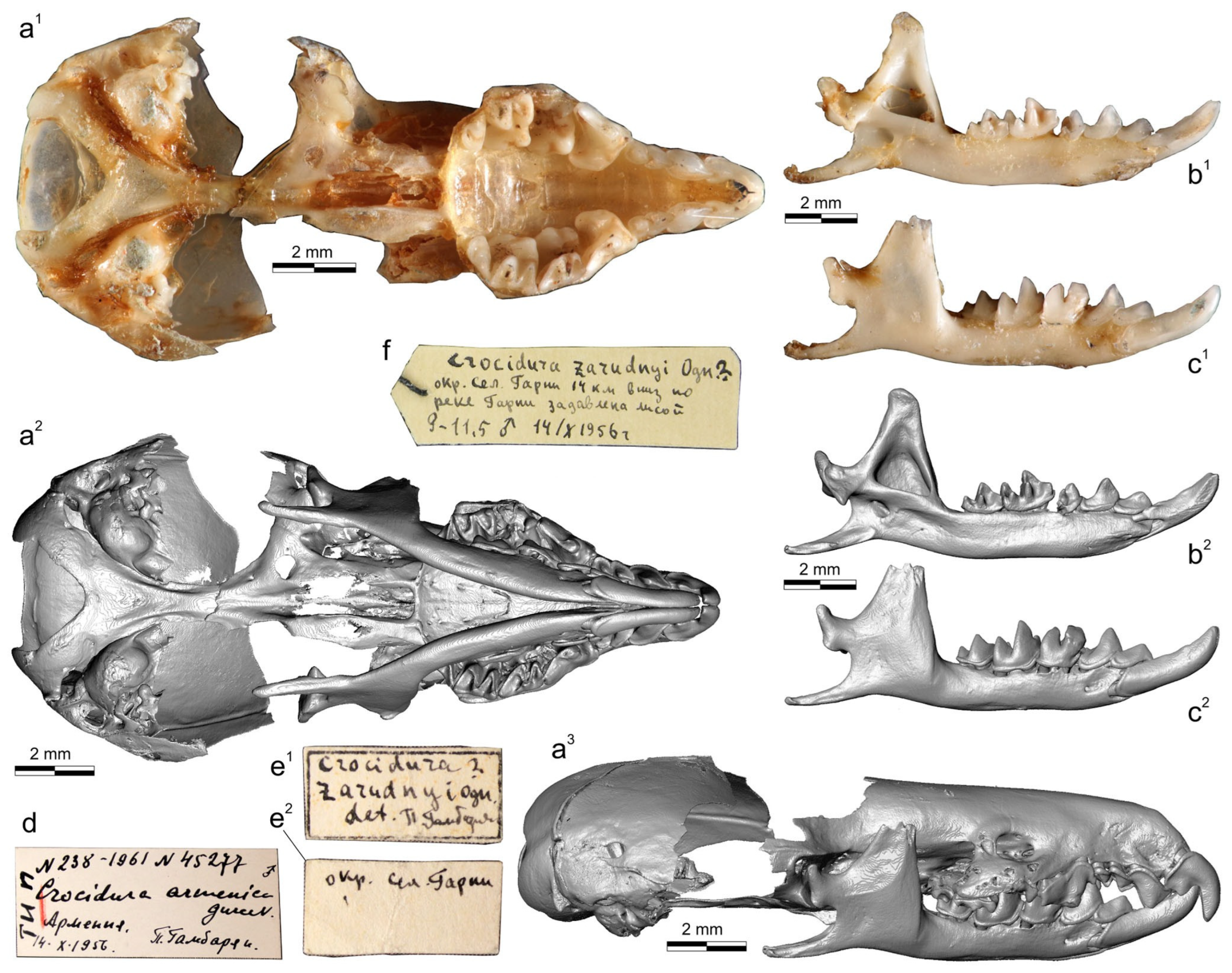 Biology 13 00448 g001 Biology 13 00448 g001