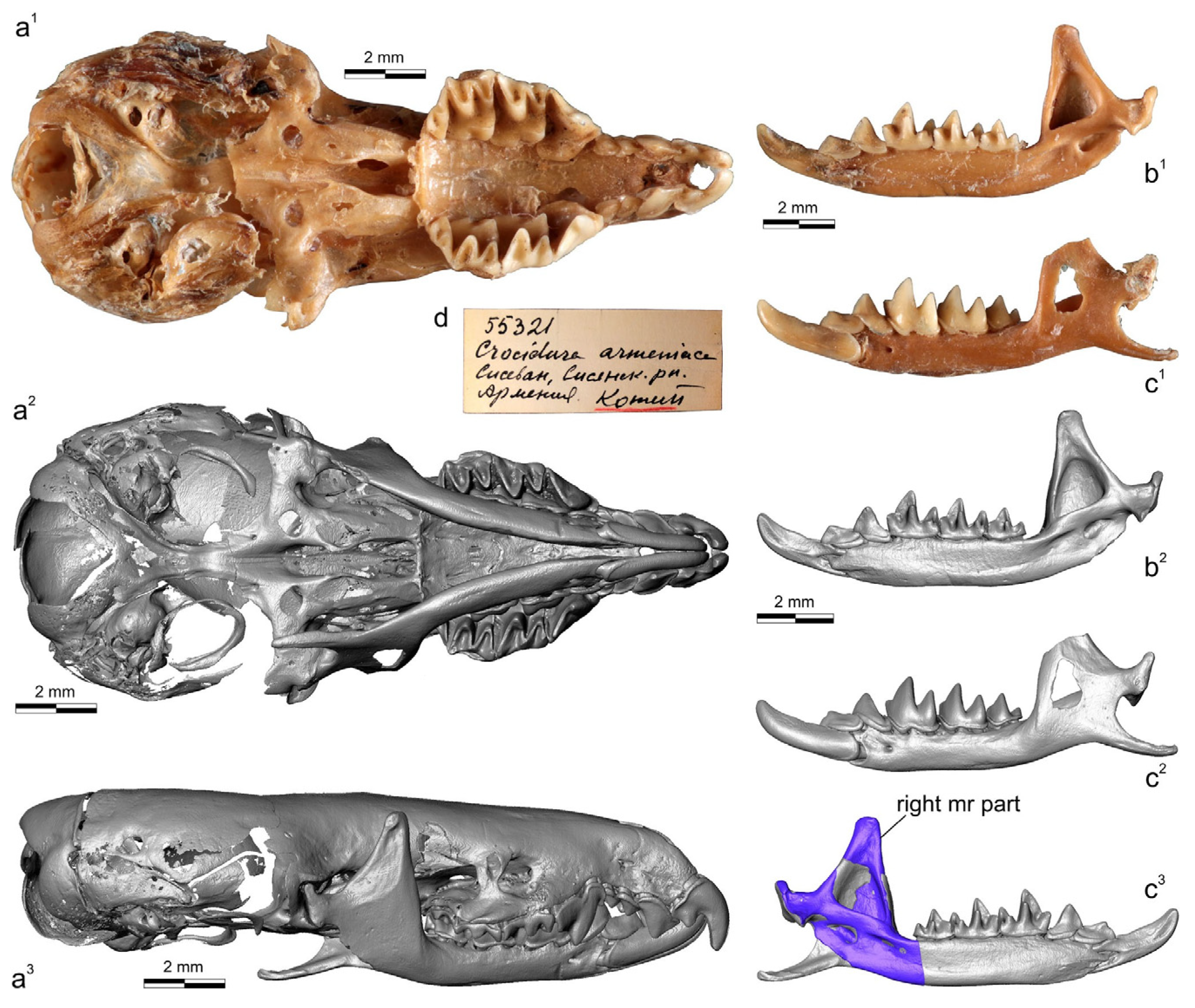 Biology 13 00448 g002 Biology 13 00448 g002