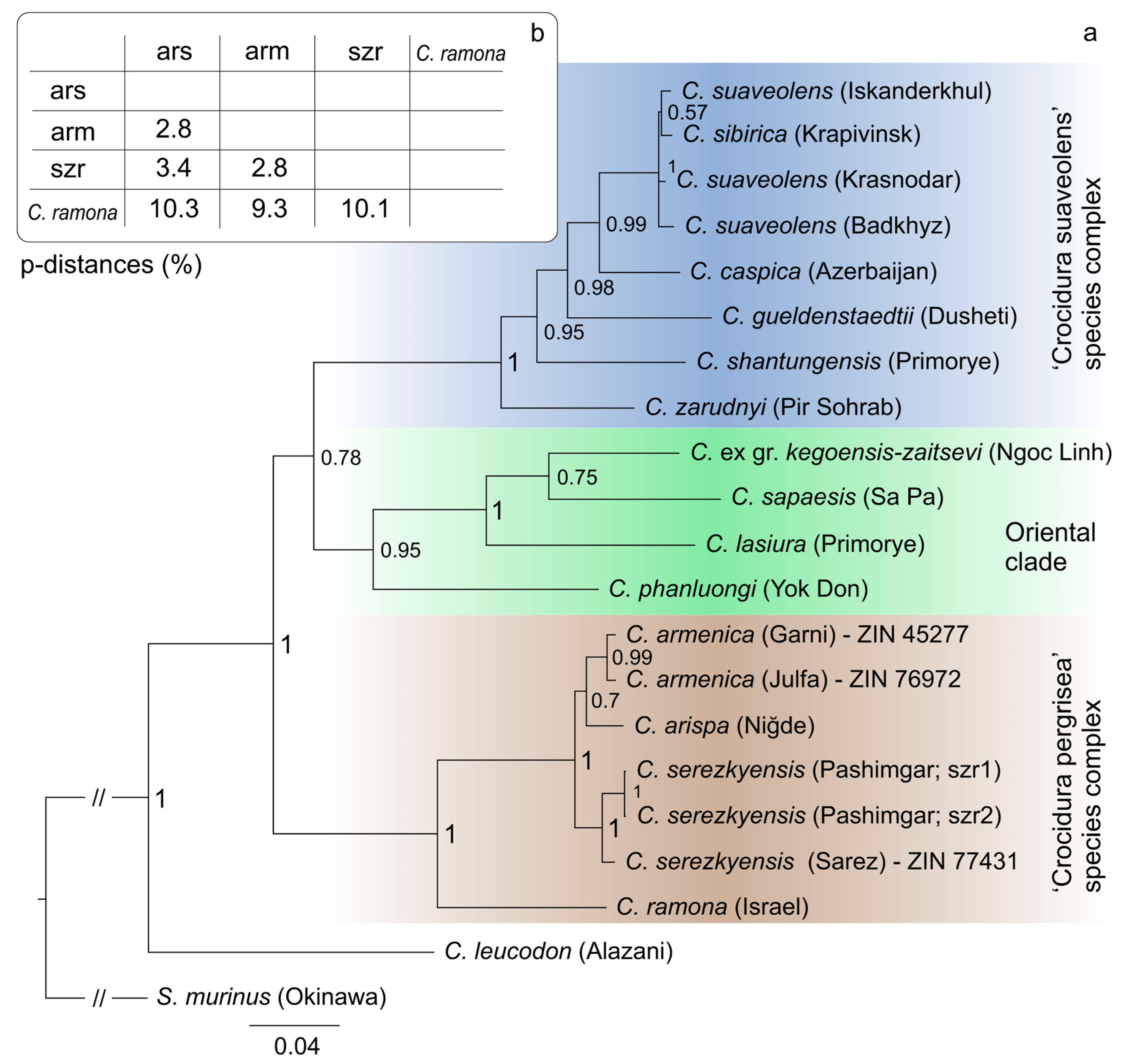 Biology 13 00448 g006 Biology 13 00448 g006