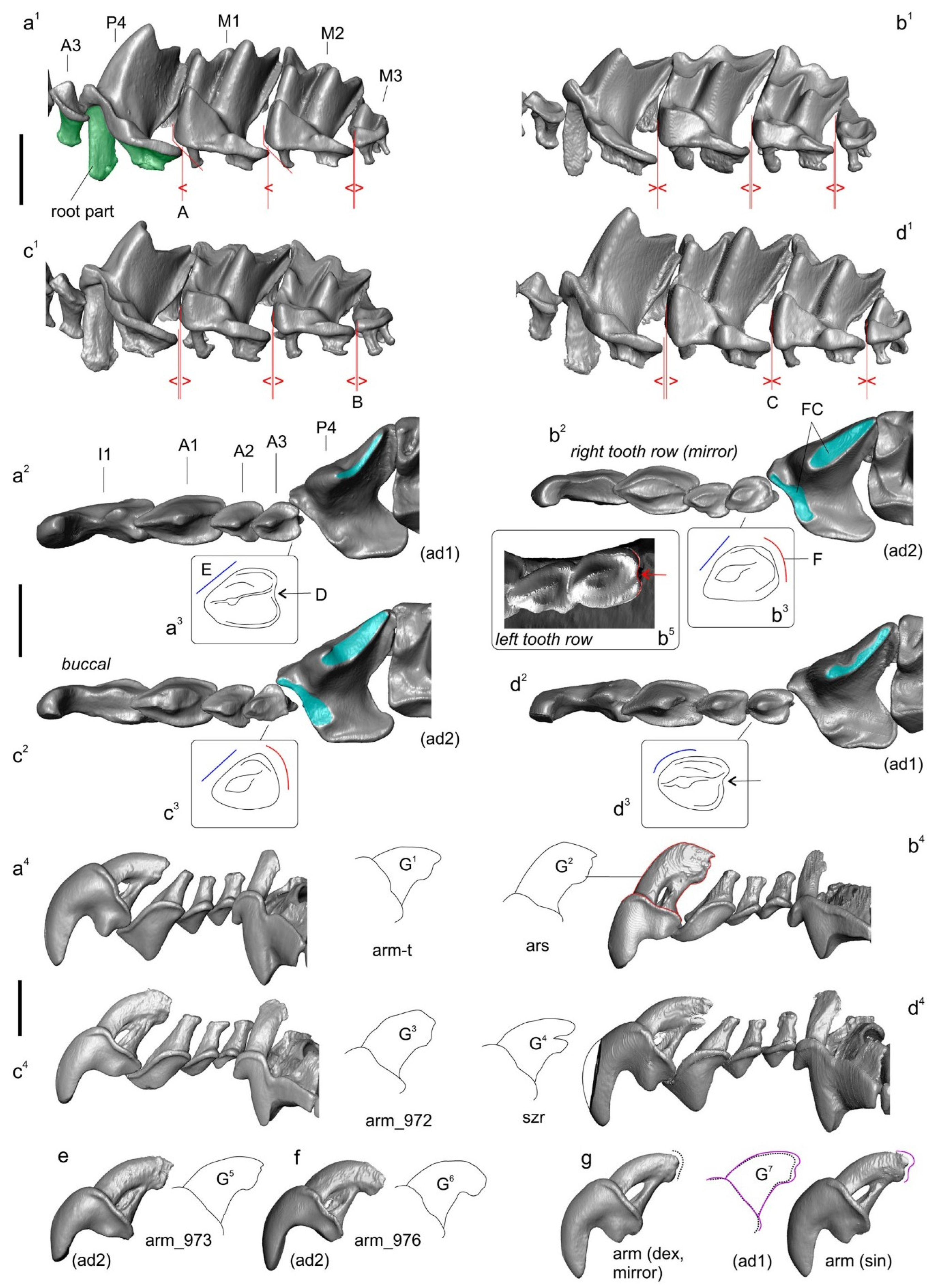 Biology 13 00448 g007 Biology 13 00448 g007