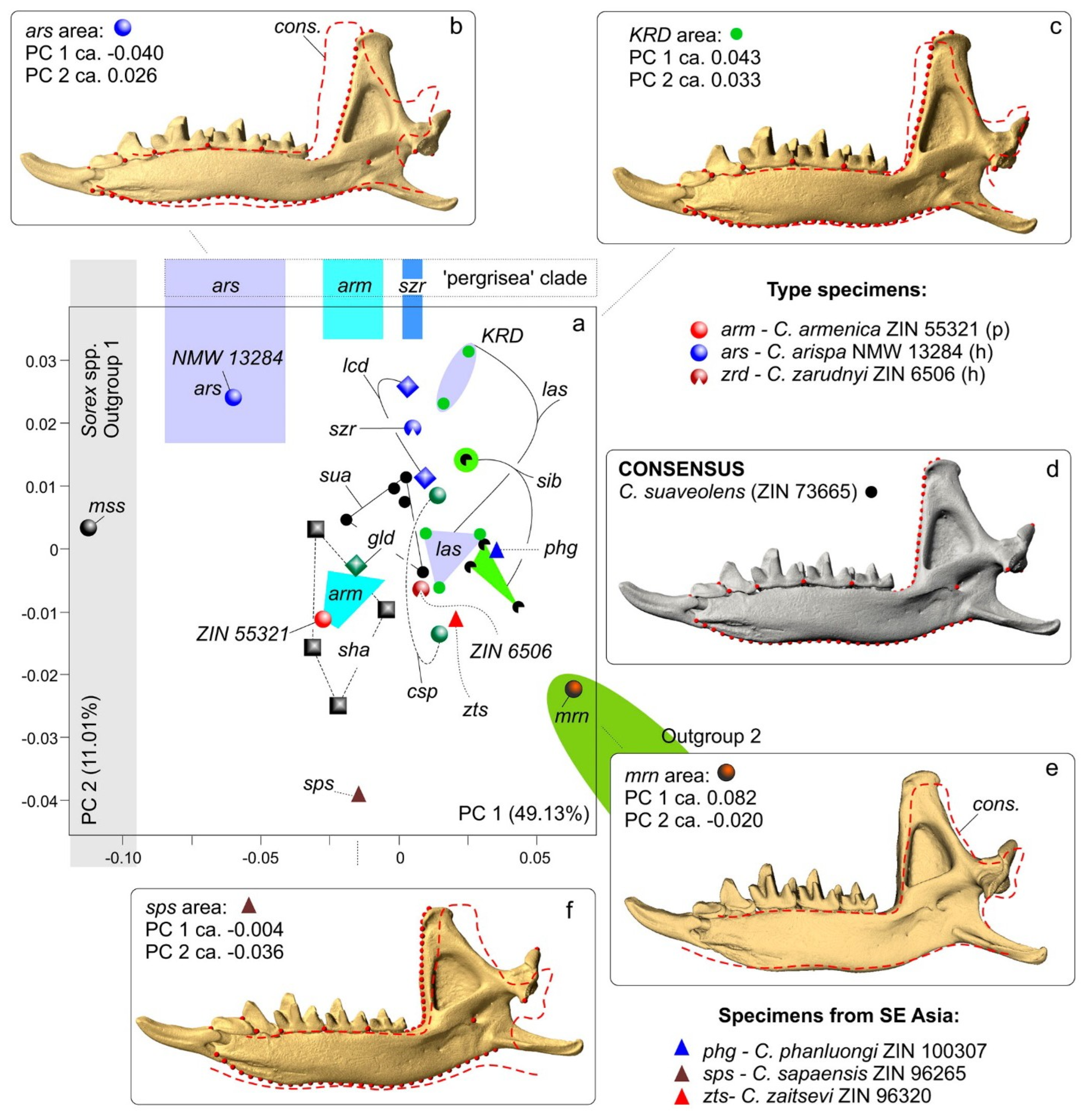 Biology 13 00448 g008 Biology 13 00448 g008
