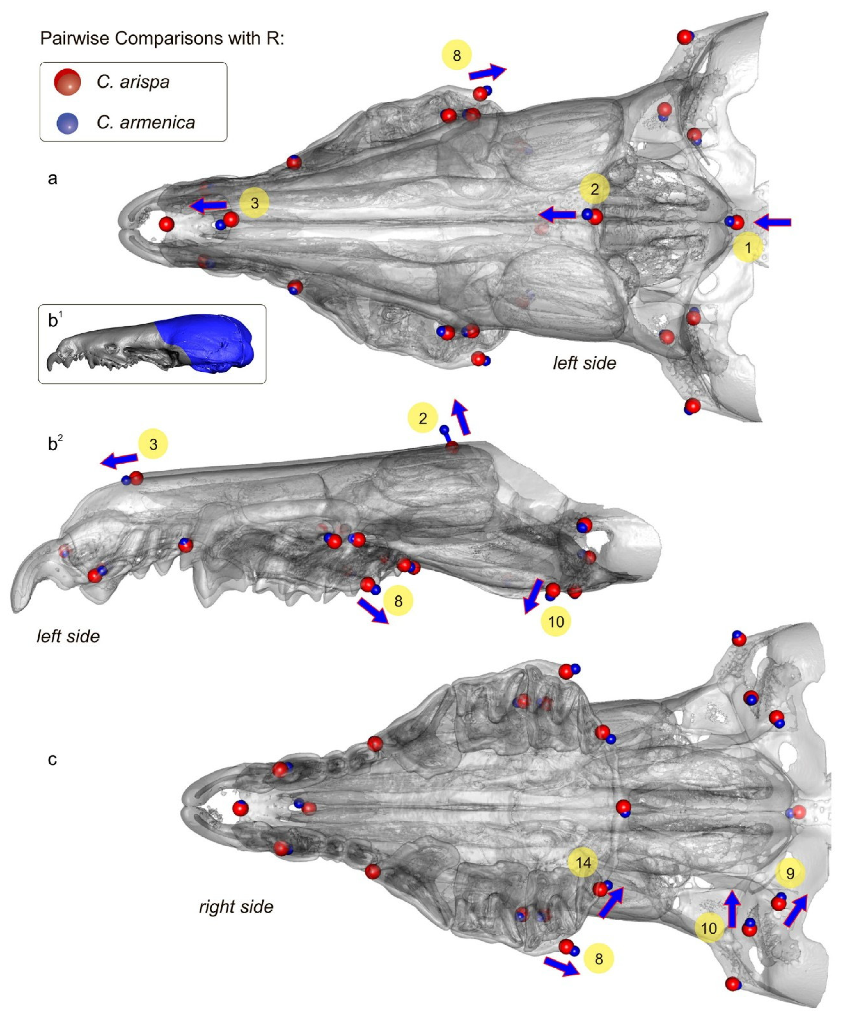 Biology 13 00448 g010 Biology 13 00448 g010