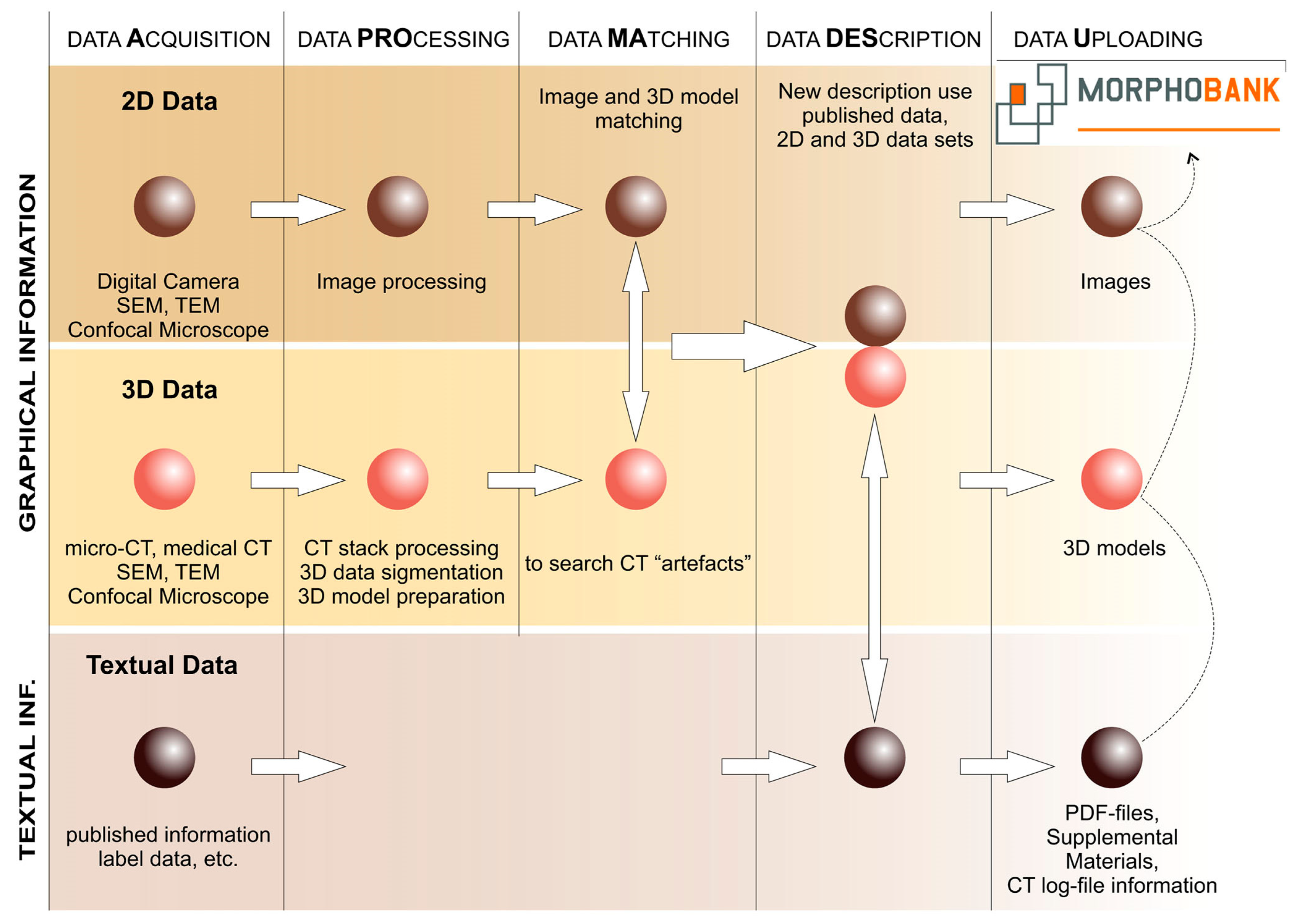 Biology 13 00448 g012 Biology 13 00448 g012