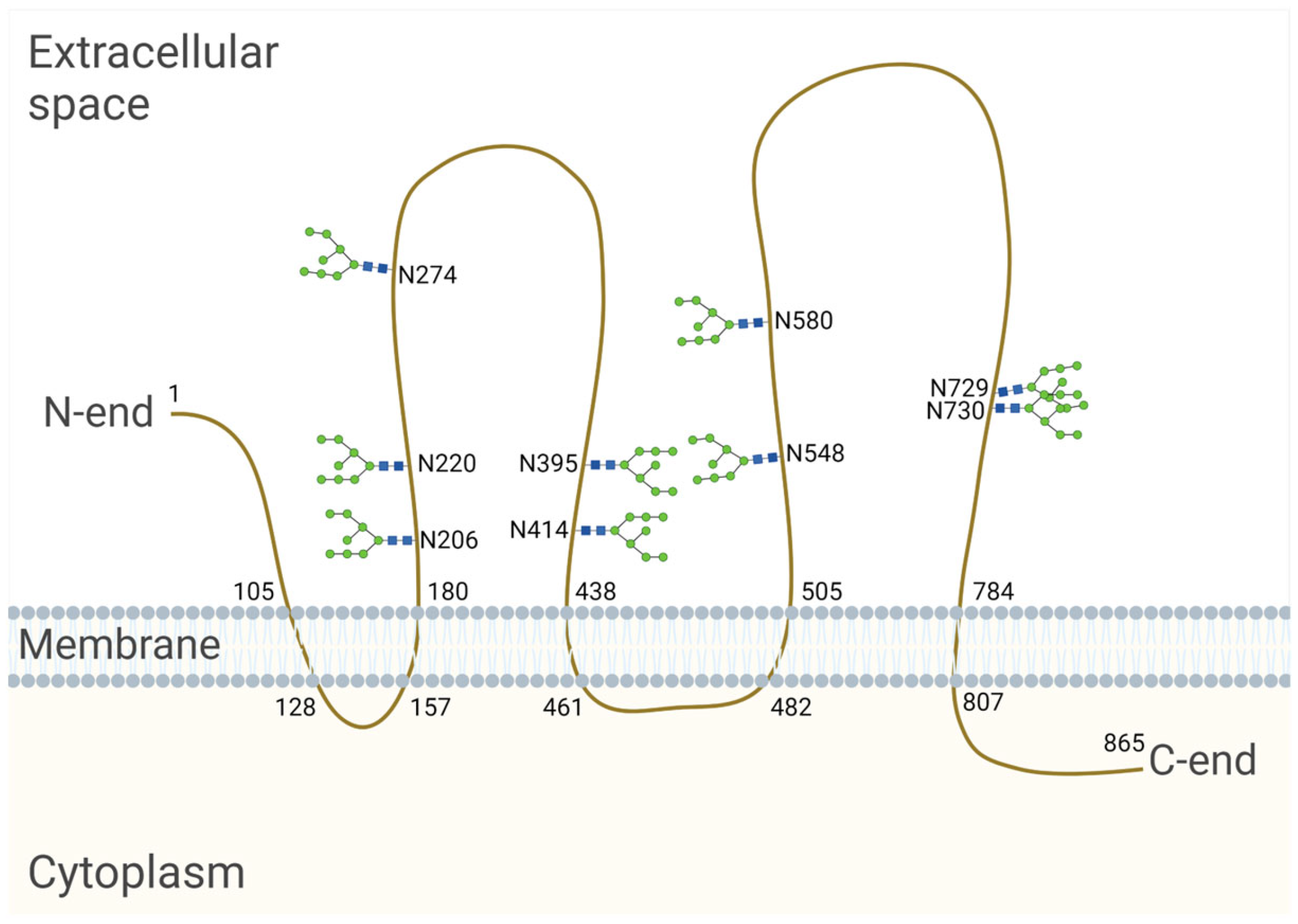 Biology 13 00449 g002 Biology 13 00449 g002