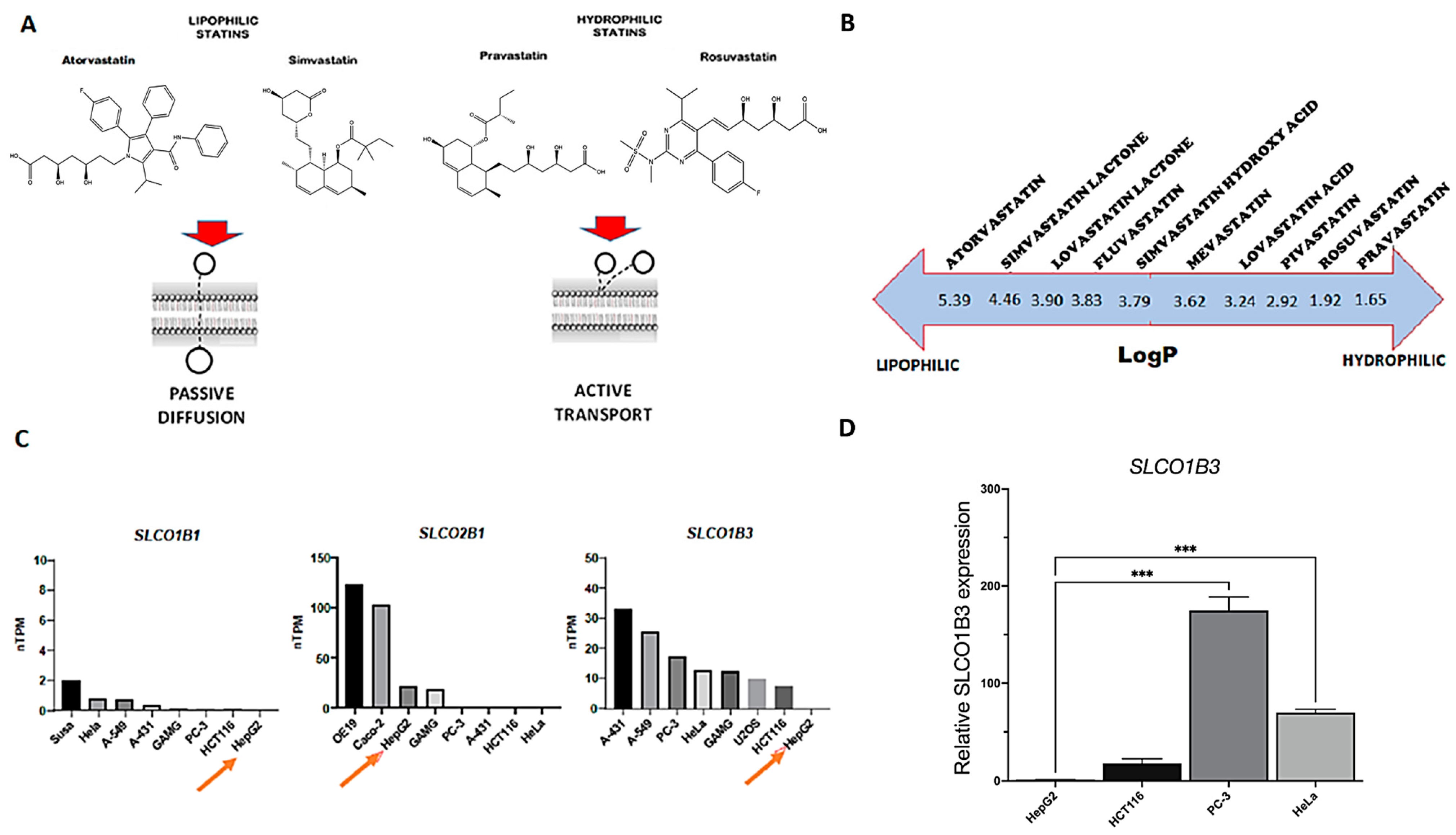 Biology 13 00455 g001 Biology 13 00455 g001