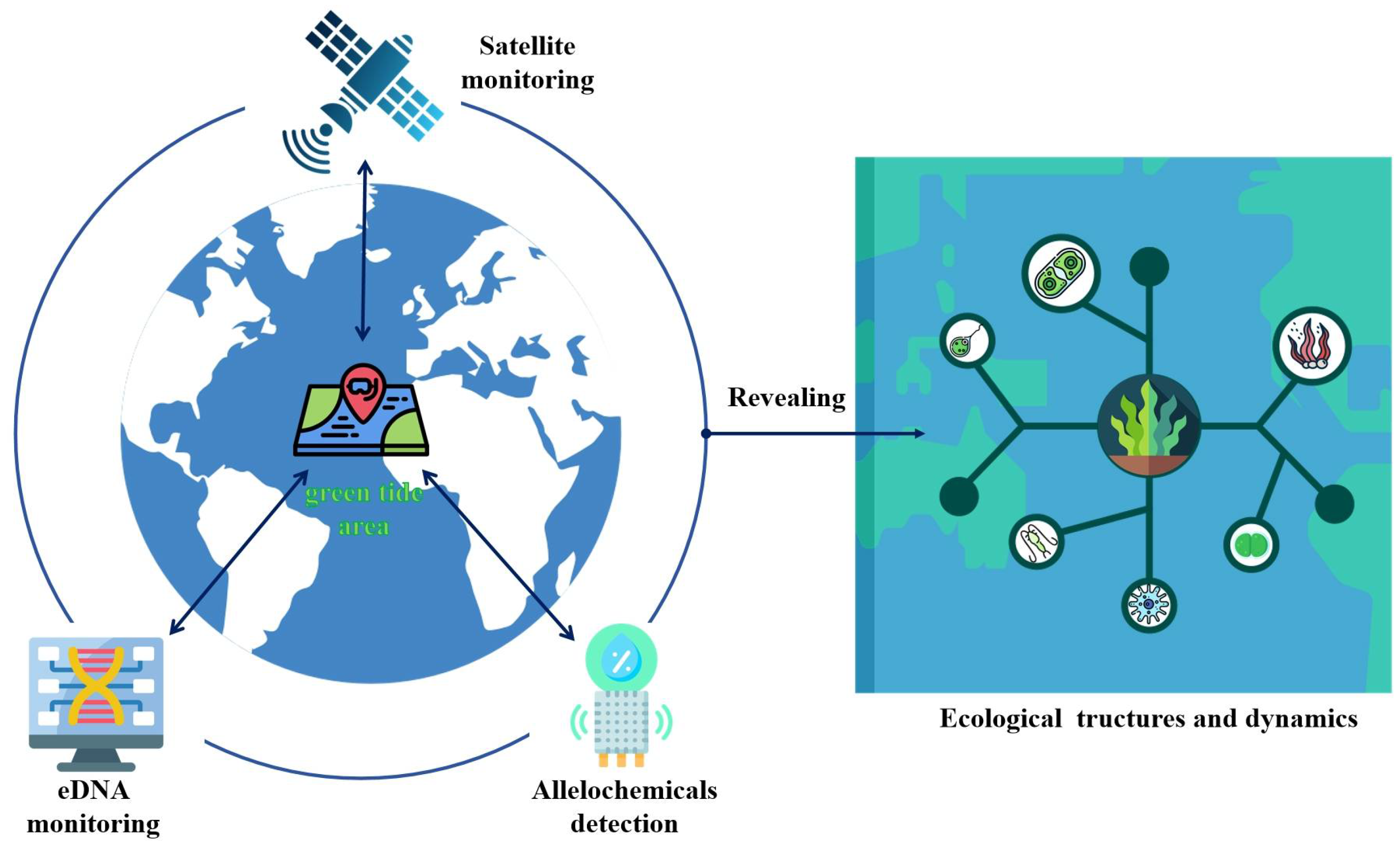 Biology 13 00456 g003