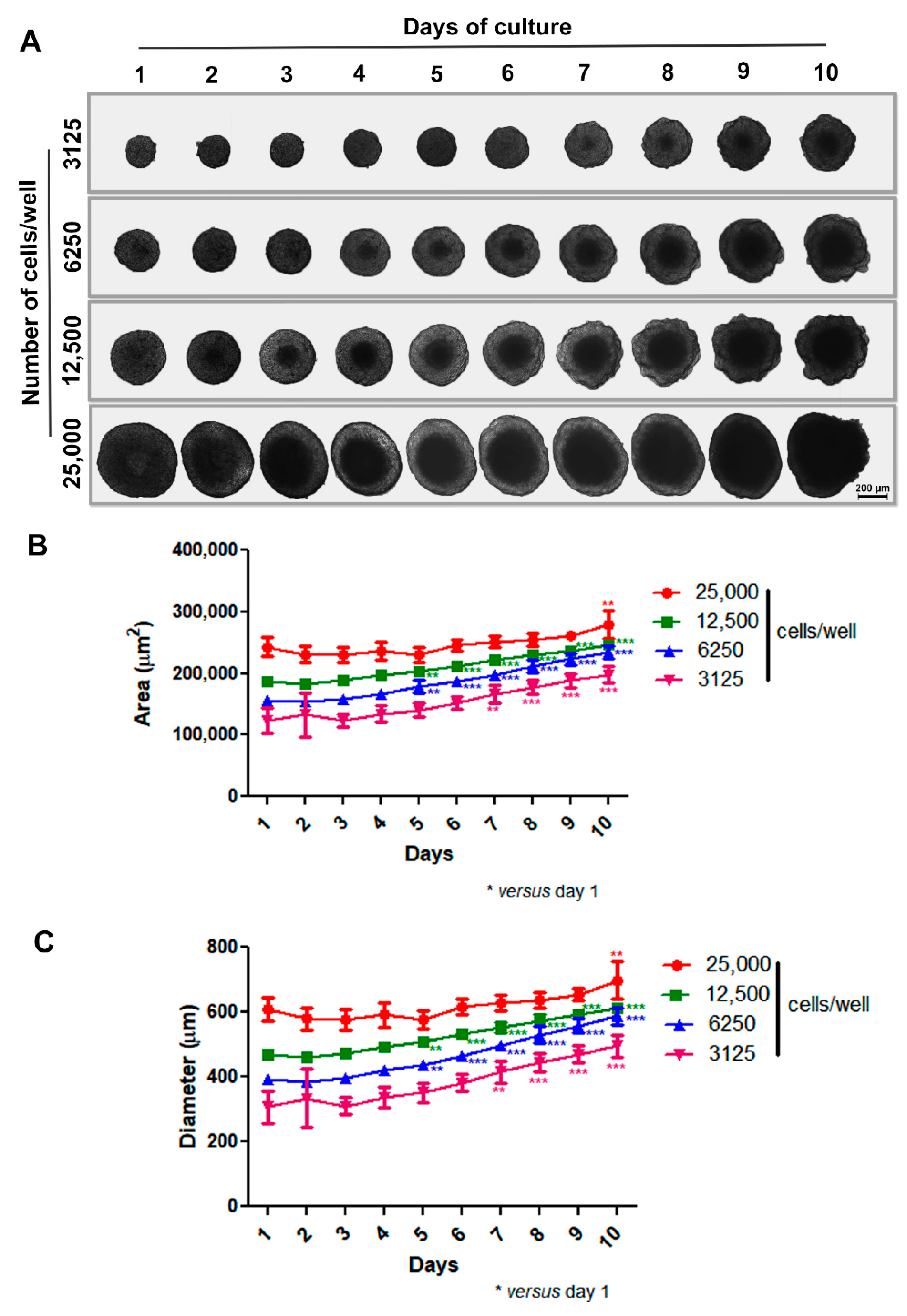 Biology 13 00463 g001 Biology 13 00463 g001