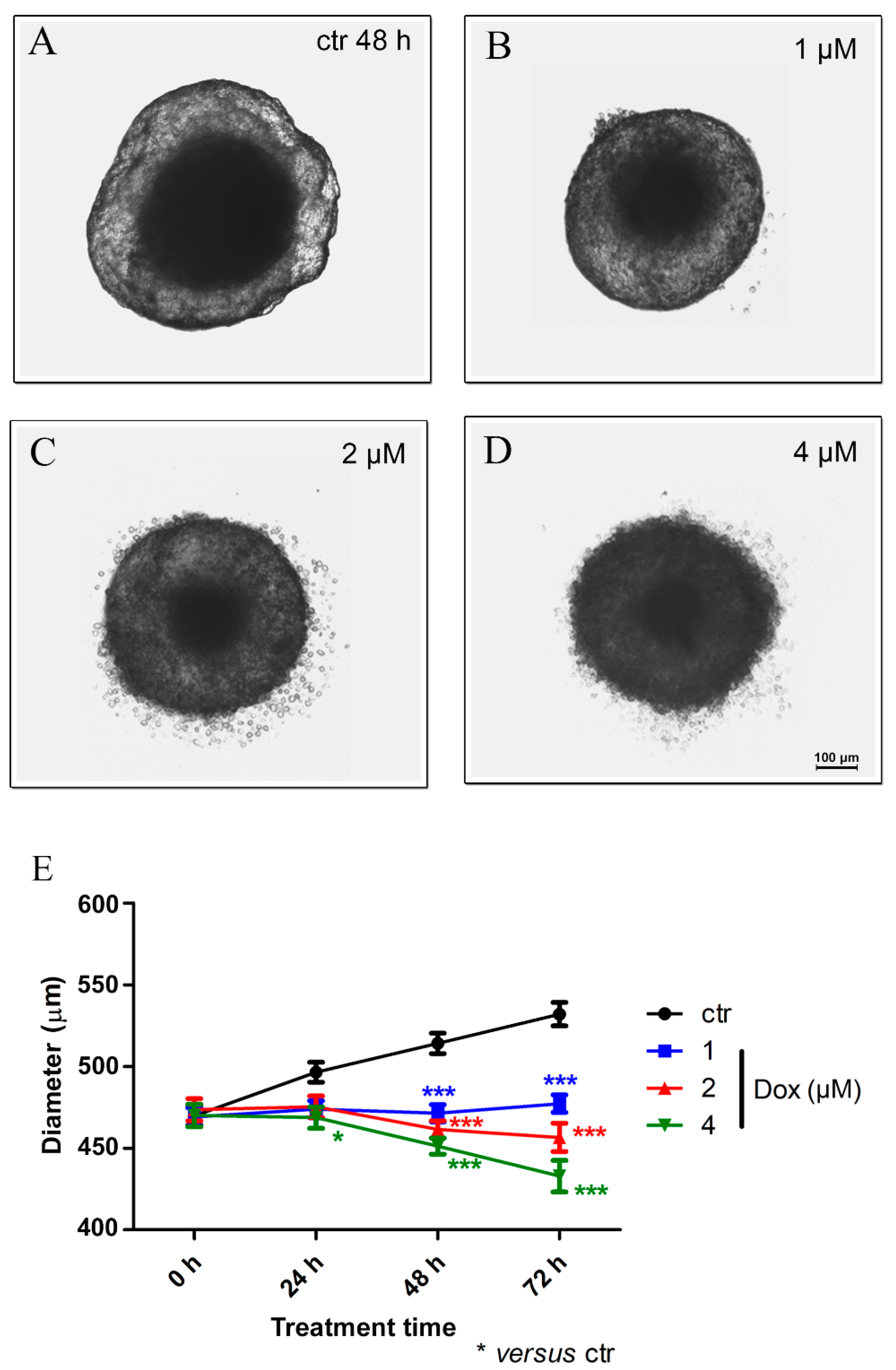 Biology 13 00463 g005 Biology 13 00463 g005
