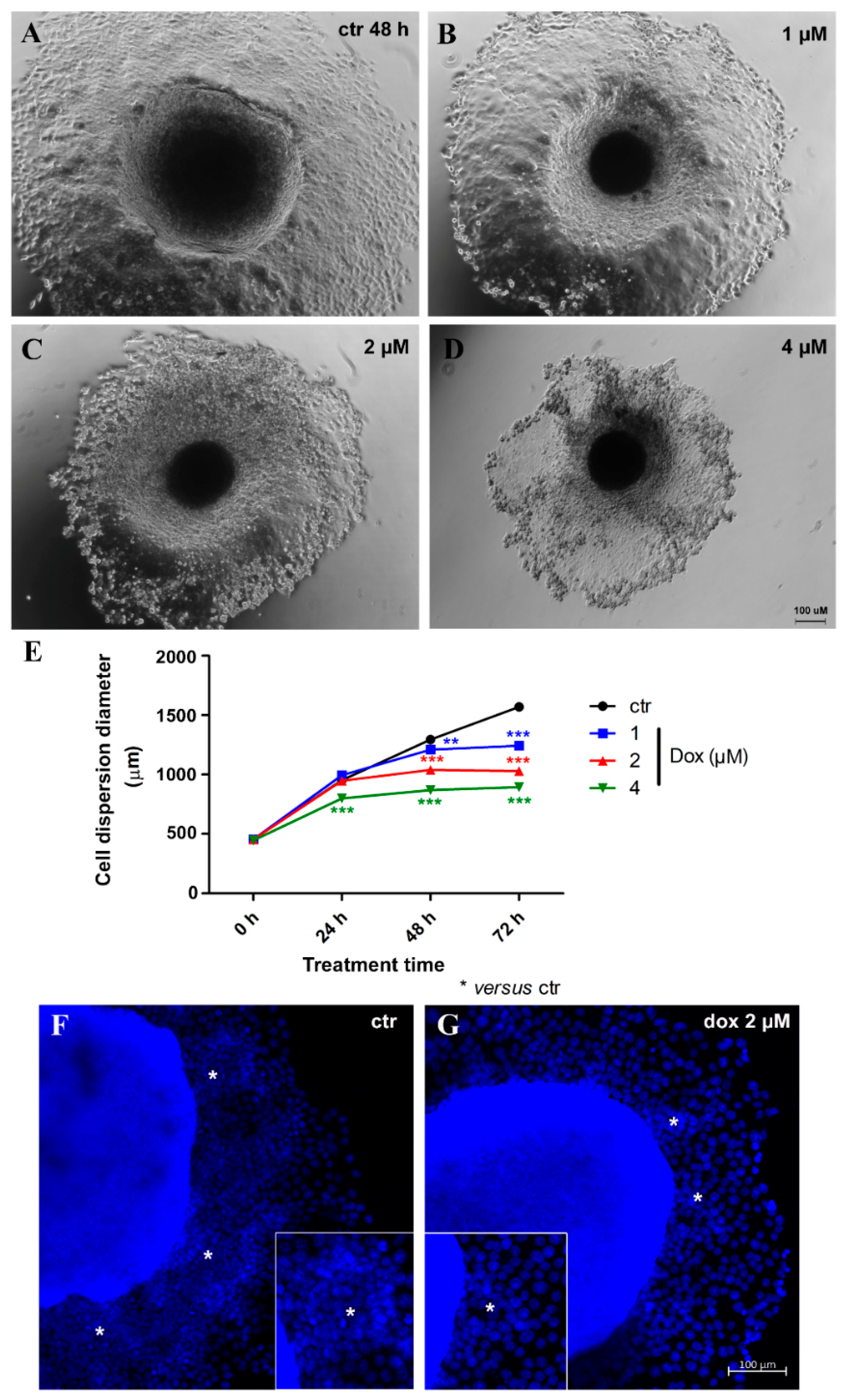 Biology 13 00463 g007 Biology 13 00463 g007