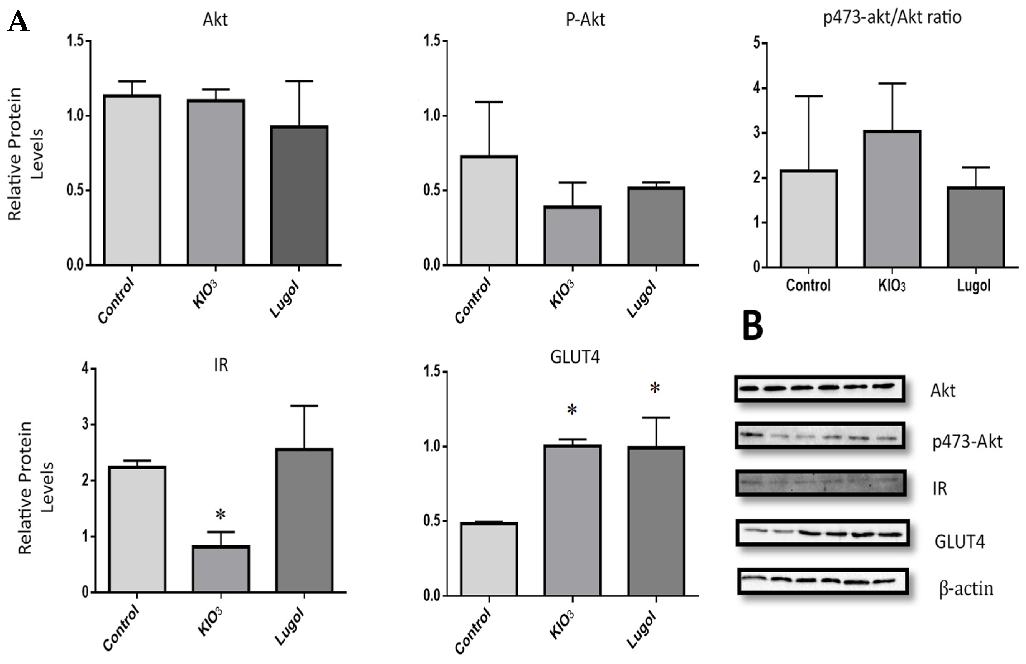Biology 13 00466 g001