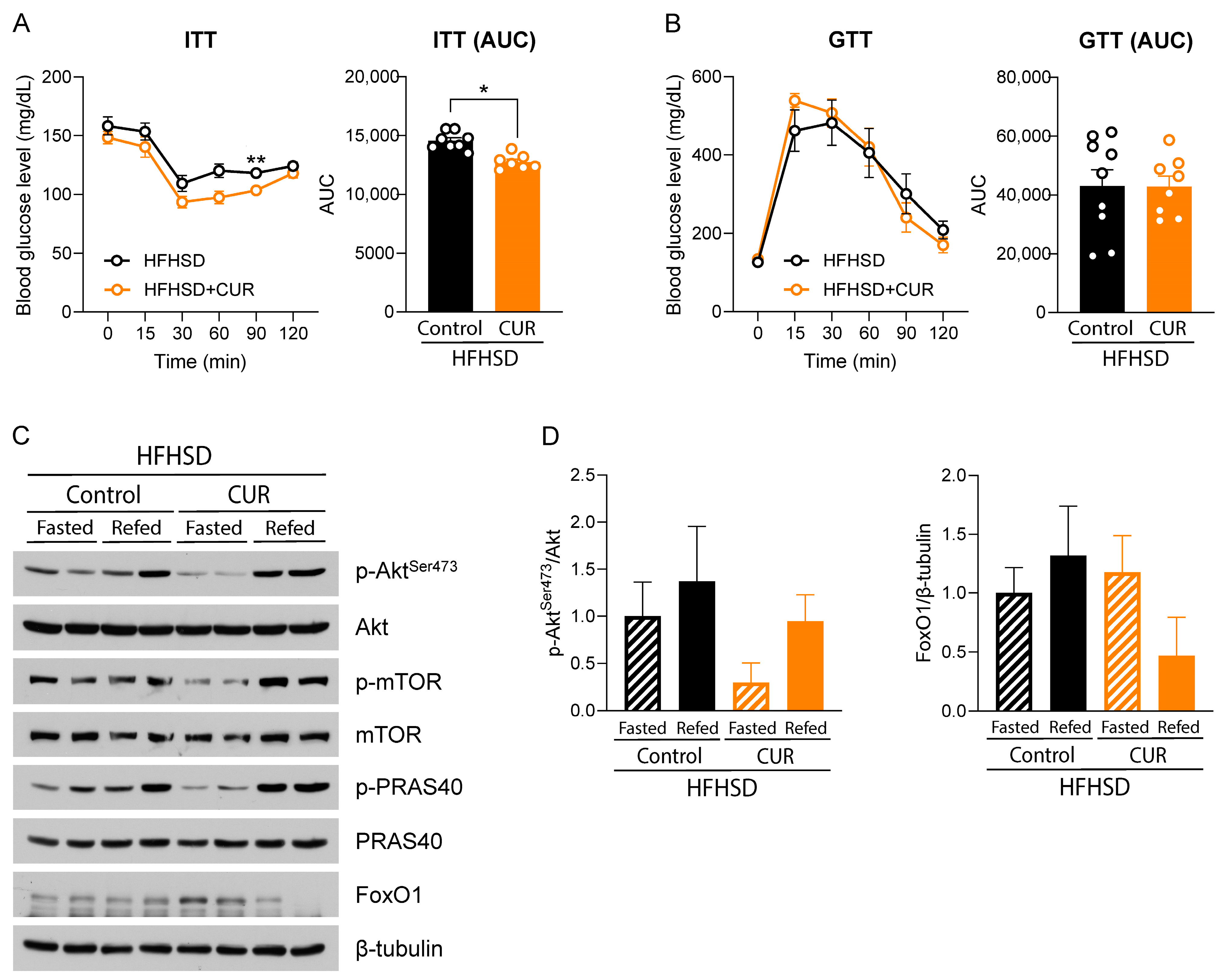 Biology 13 00472 g002 Biology 13 00472 g002