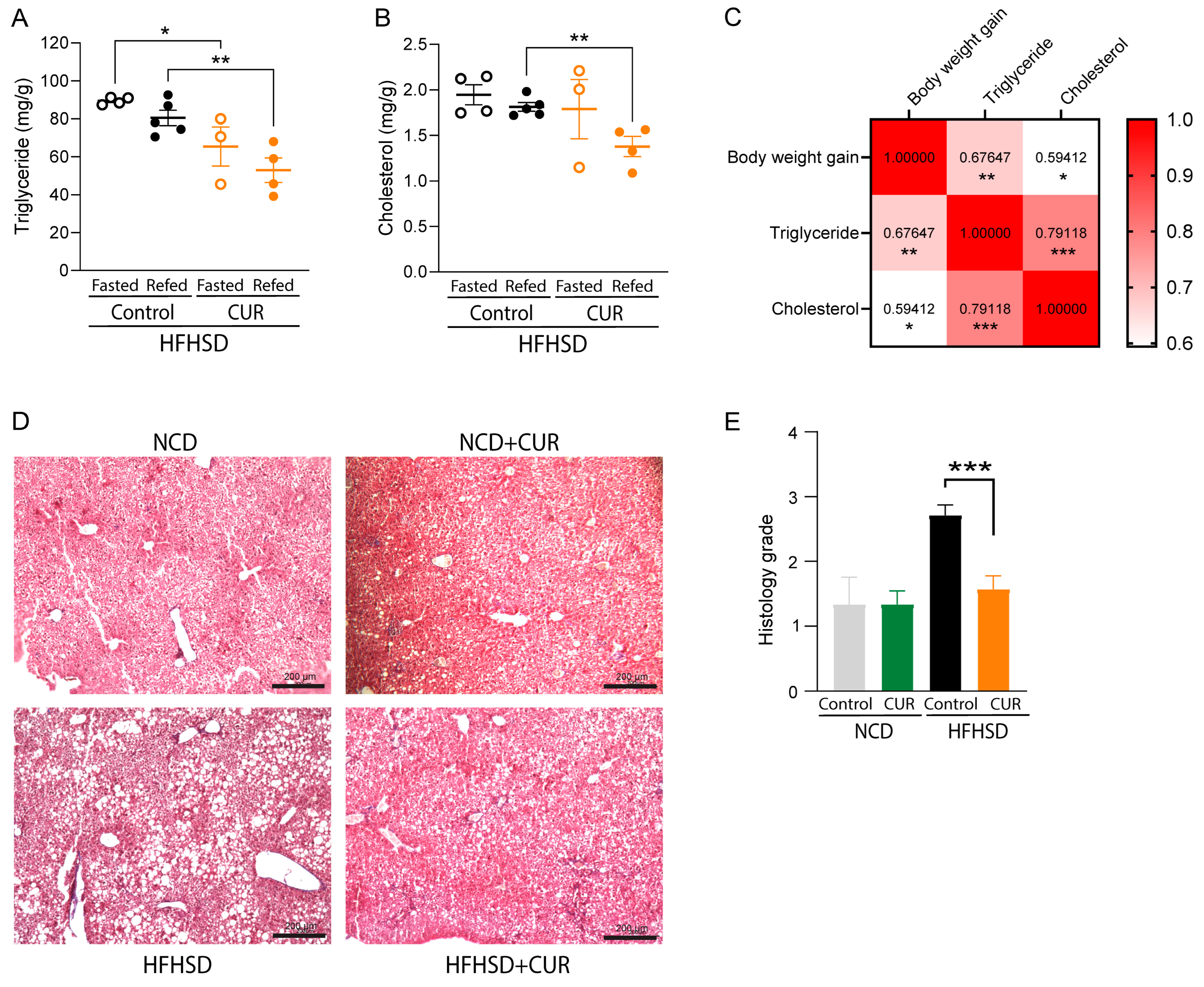 Biology 13 00472 g003 Biology 13 00472 g003
