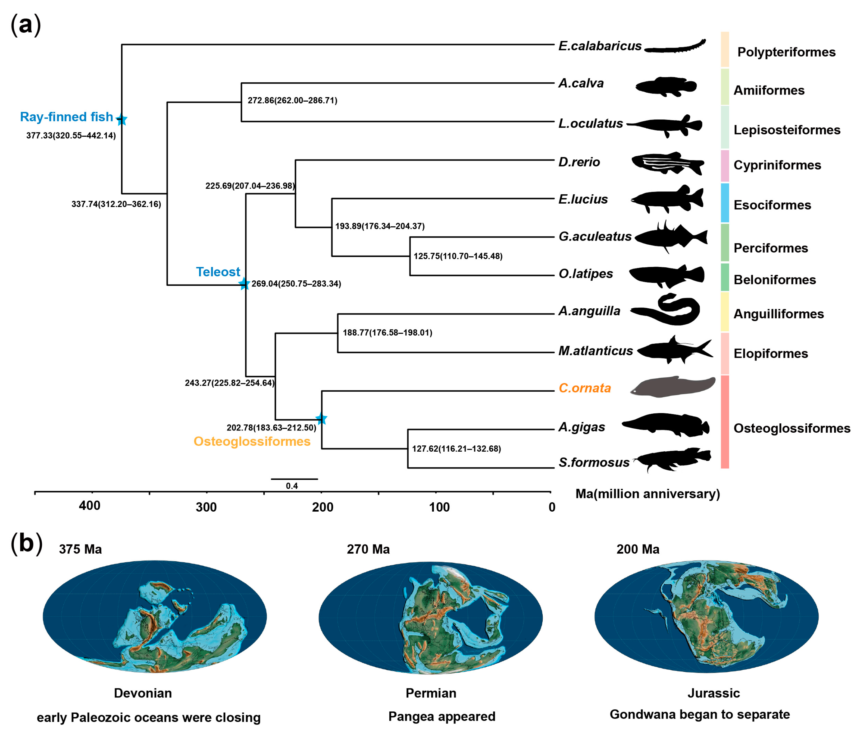 Biology 13 00478 g002