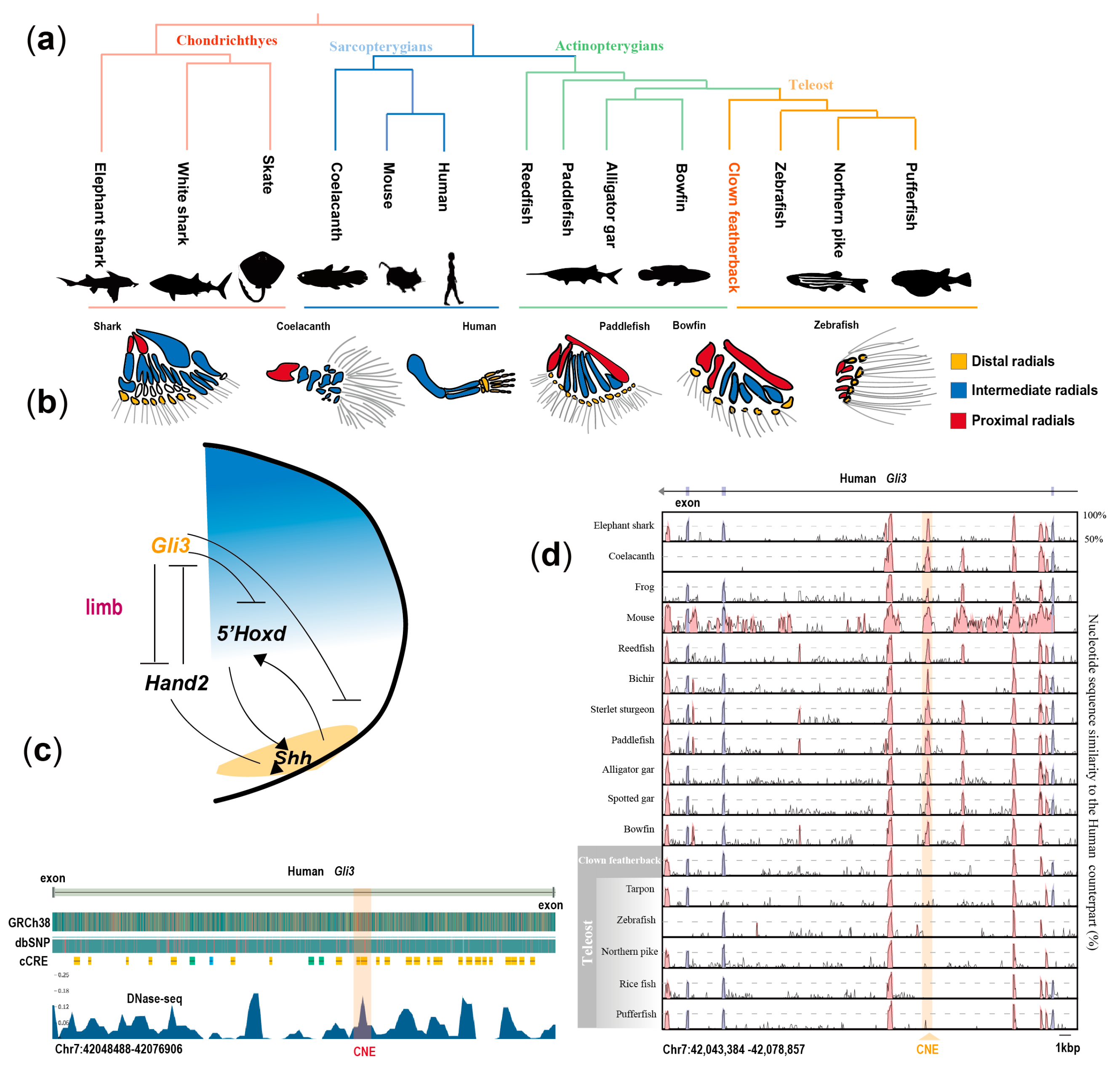 Biology 13 00478 g004
