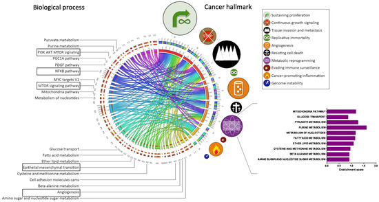 CD74-AKT Axis Is a Potential Therapeutic Target in Triple-Negative