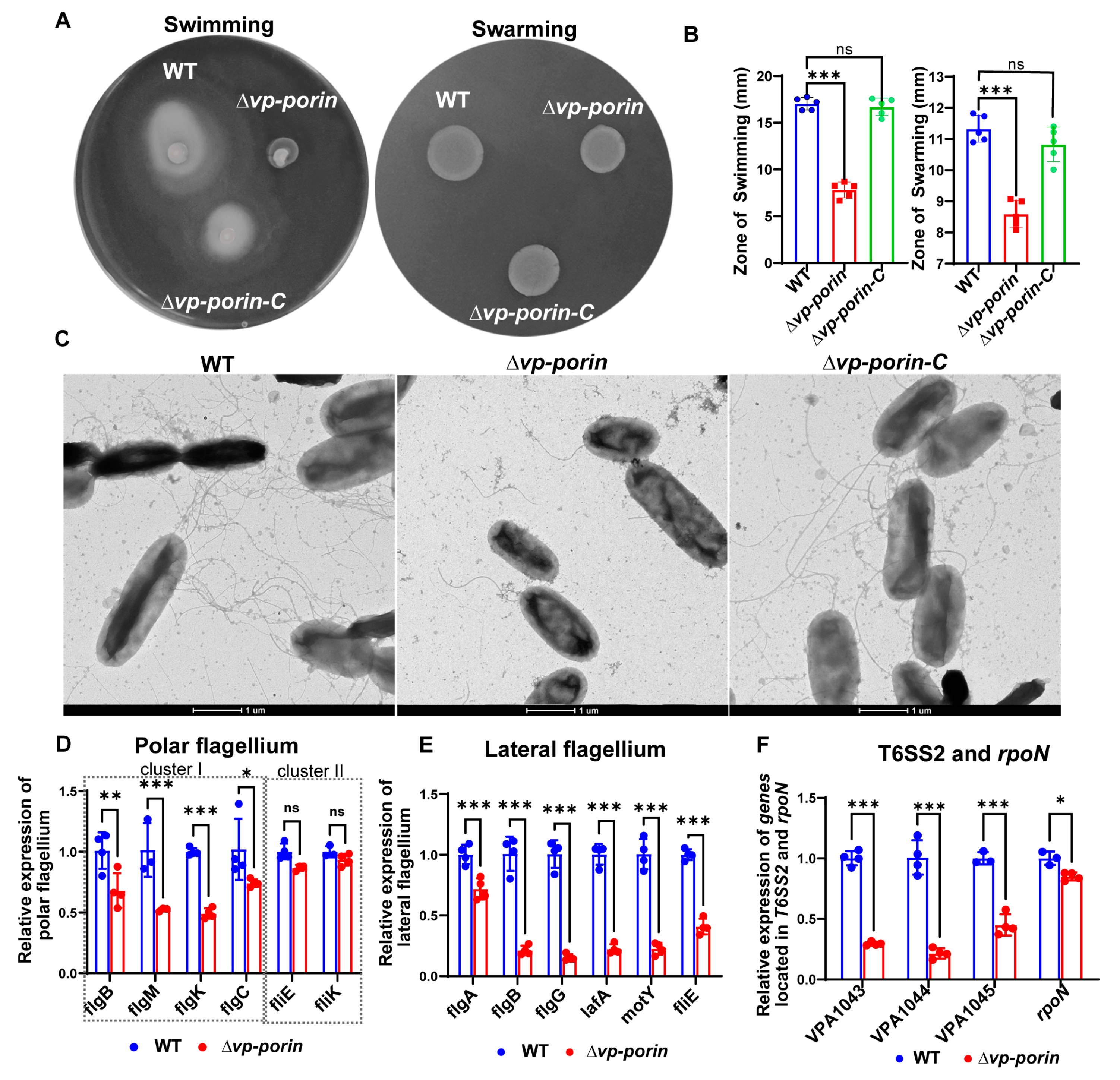 Biology 13 00485 g005