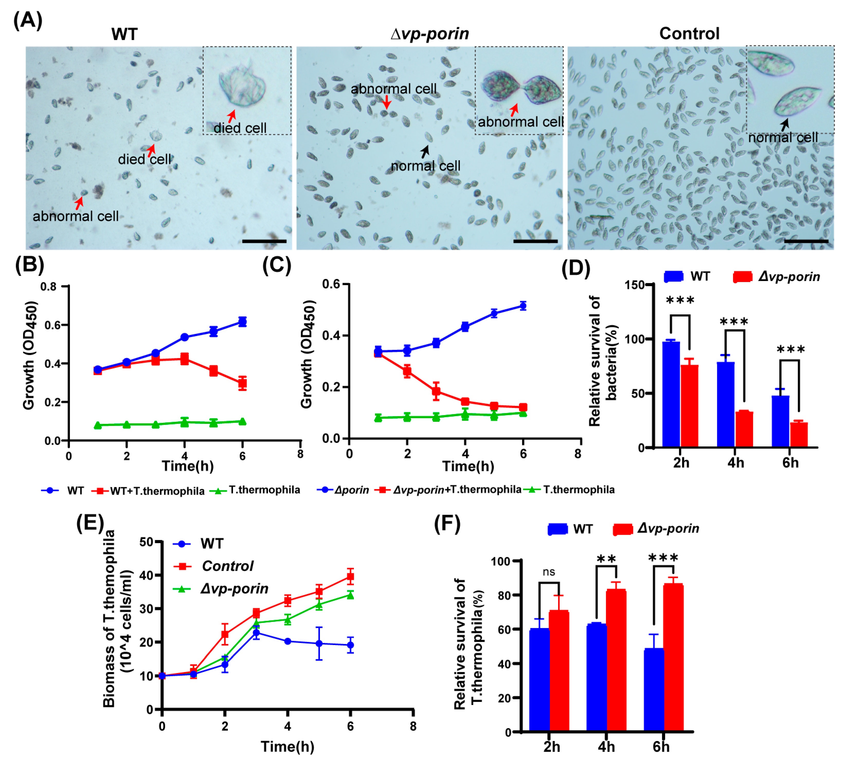 Biology 13 00485 g006
