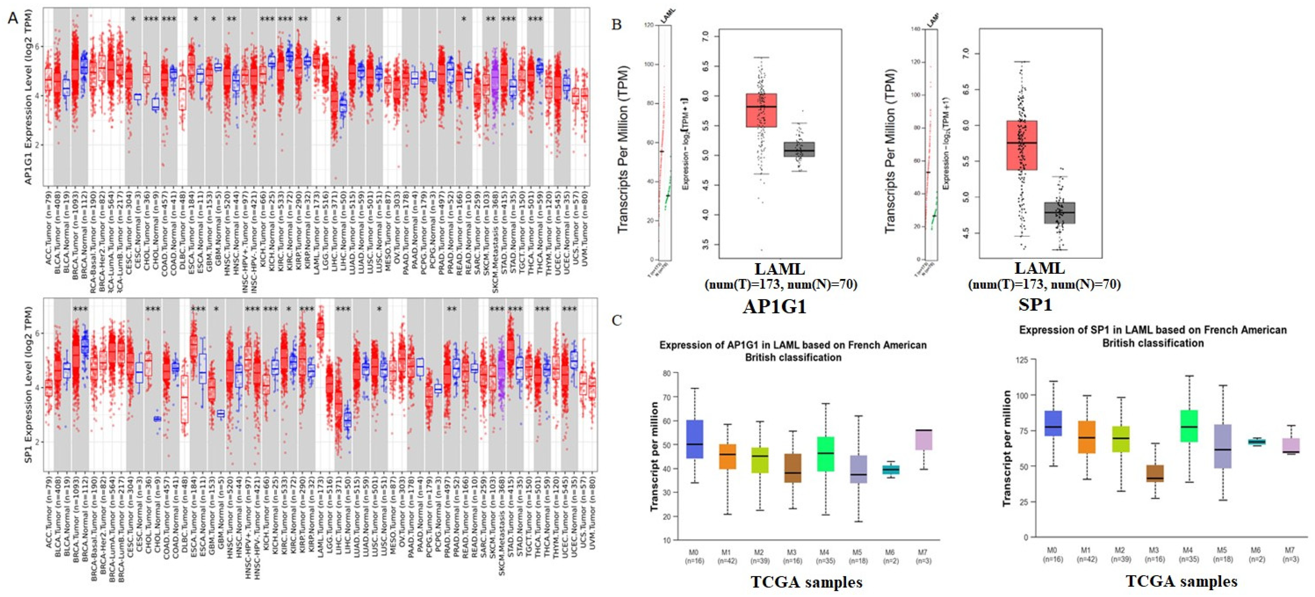 Biology 13 00487 g002