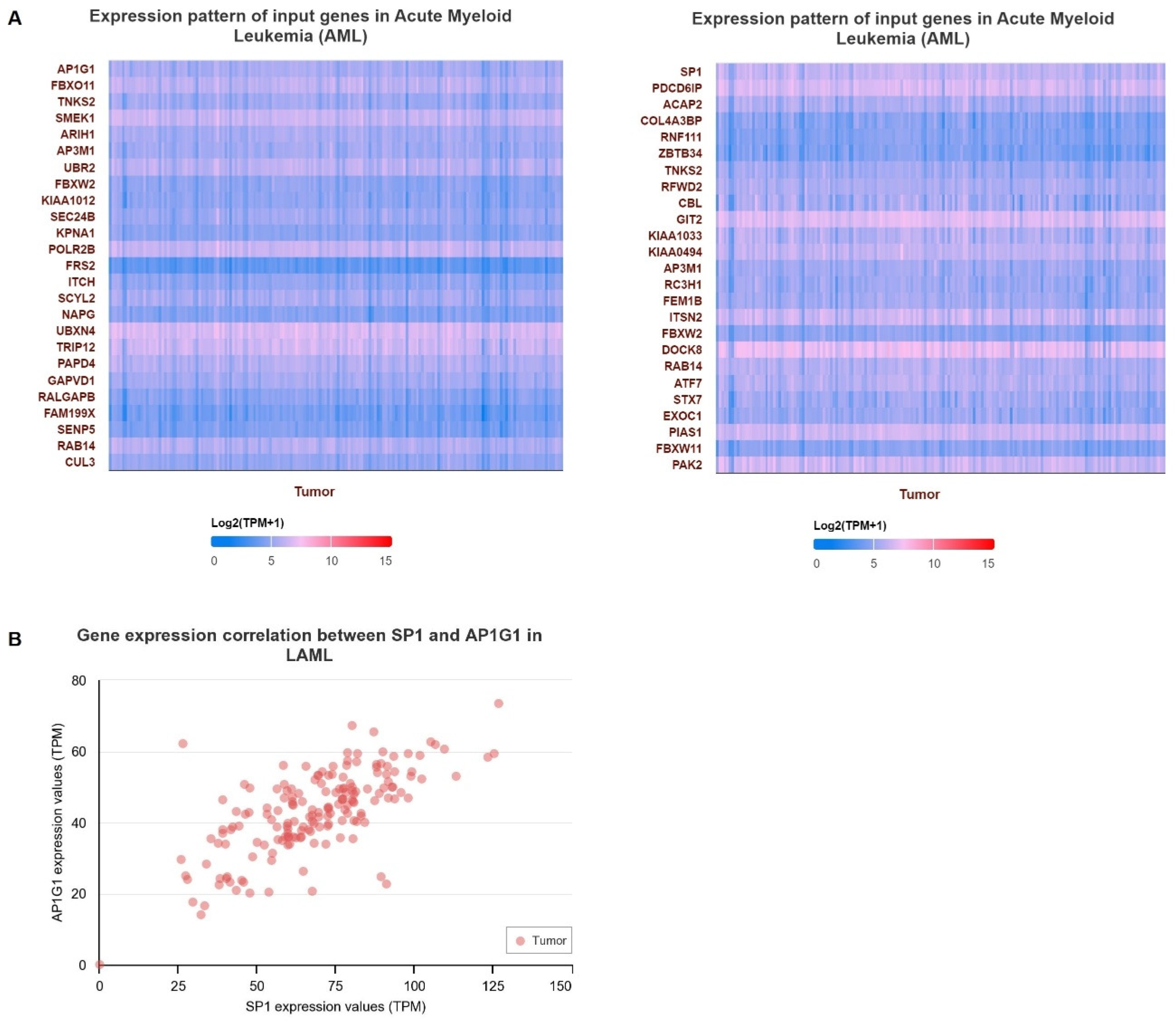 Biology 13 00487 g003