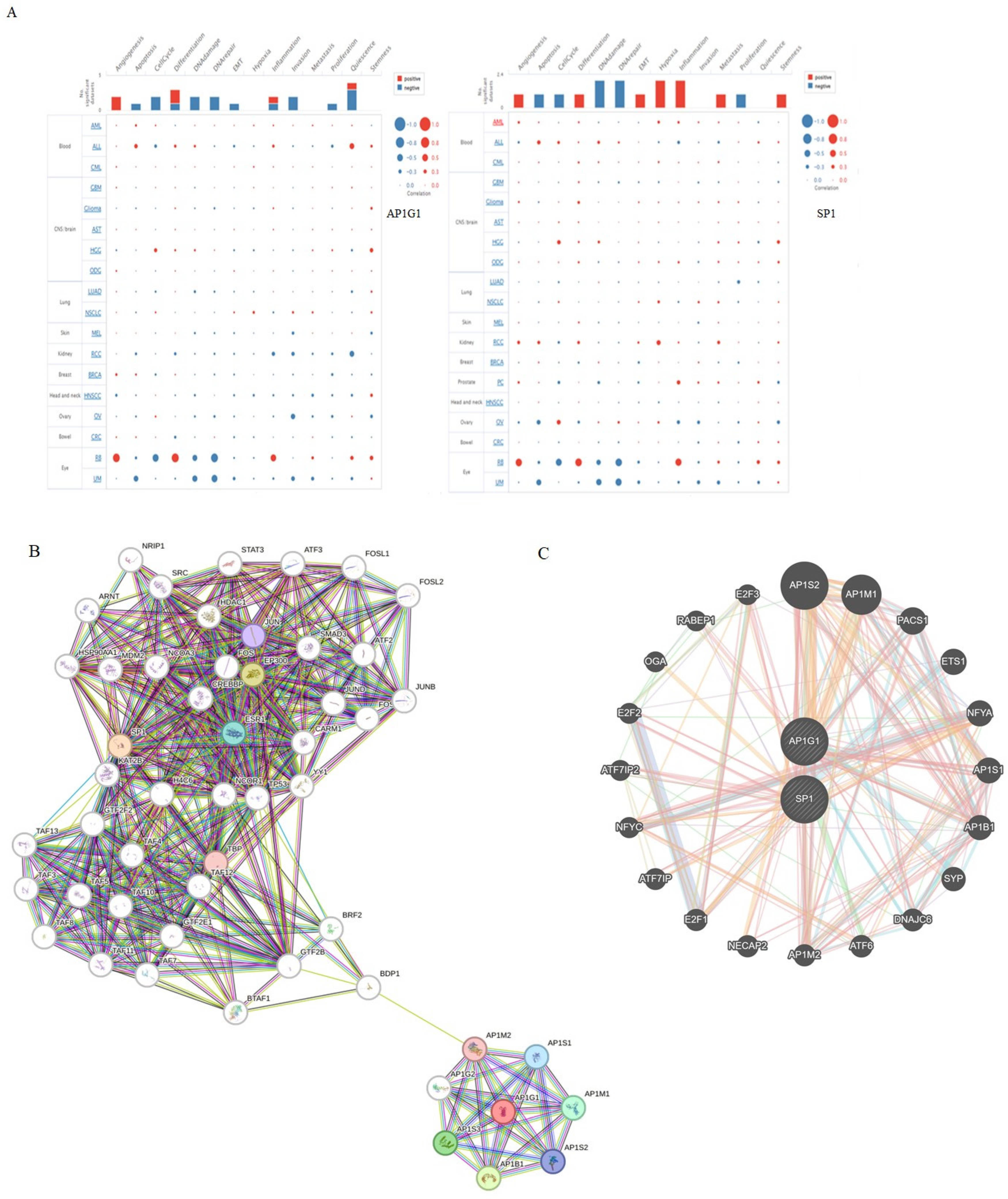 Biology 13 00487 g005