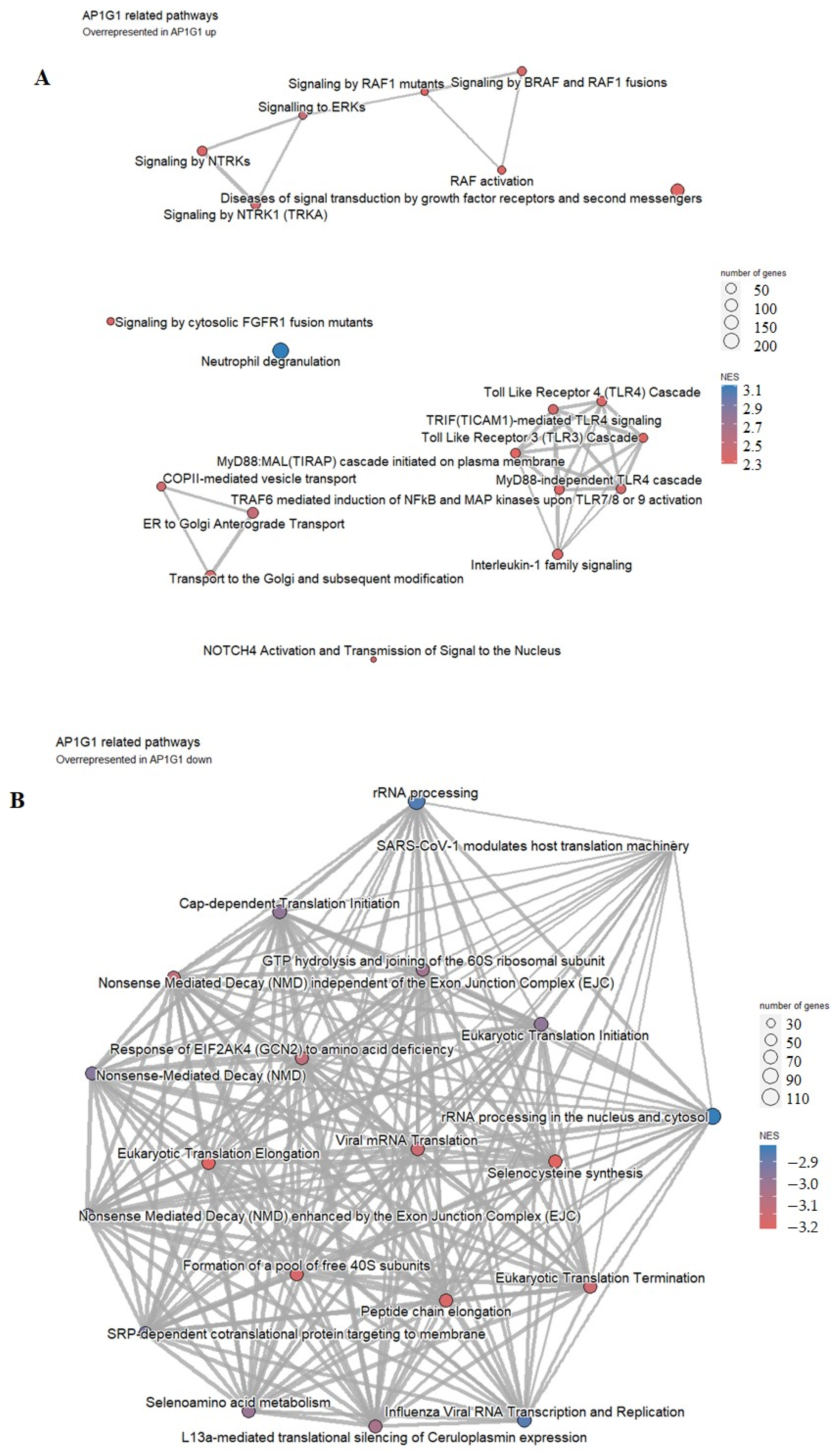 Biology 13 00487 g007