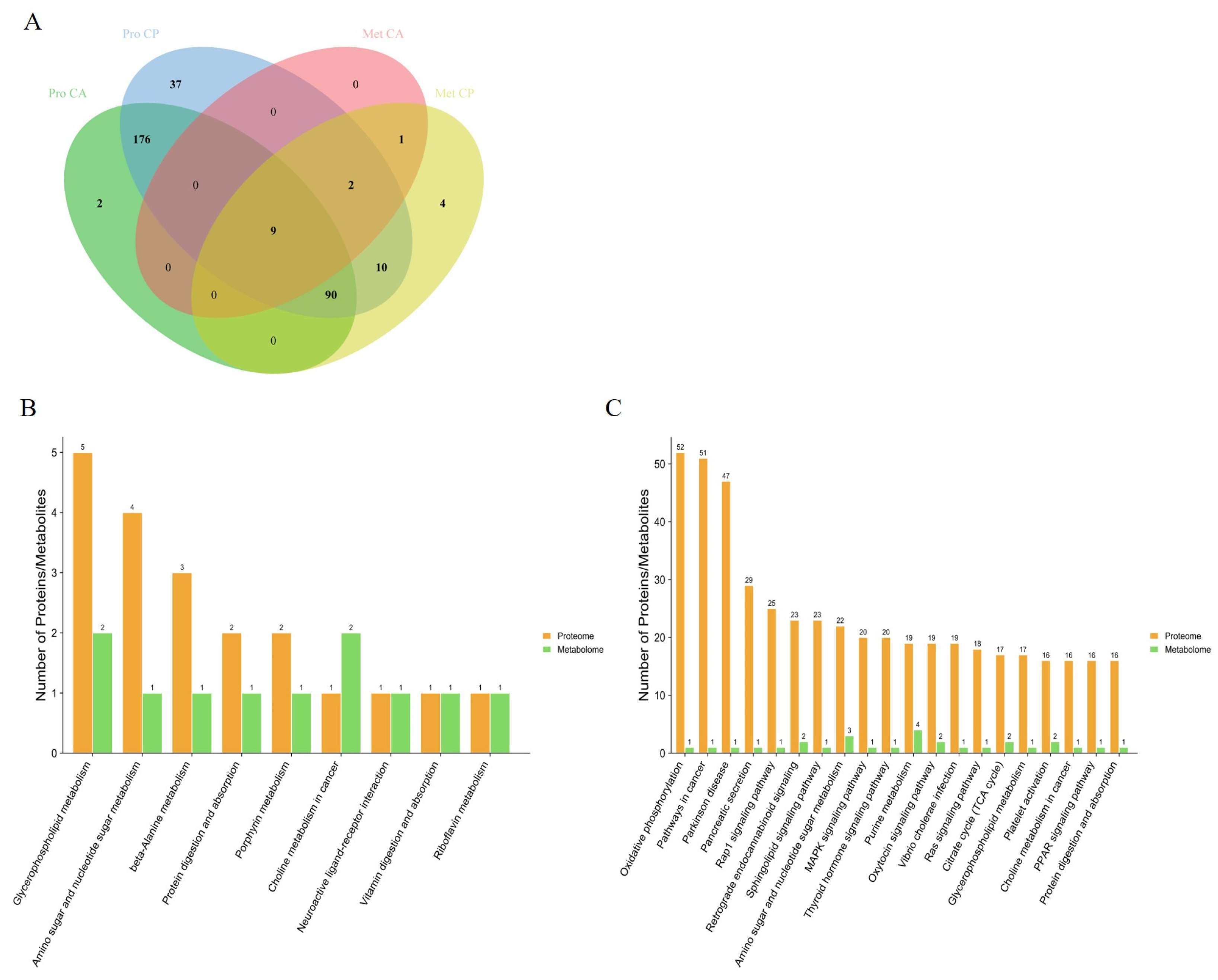 Biology 13 00488 g005