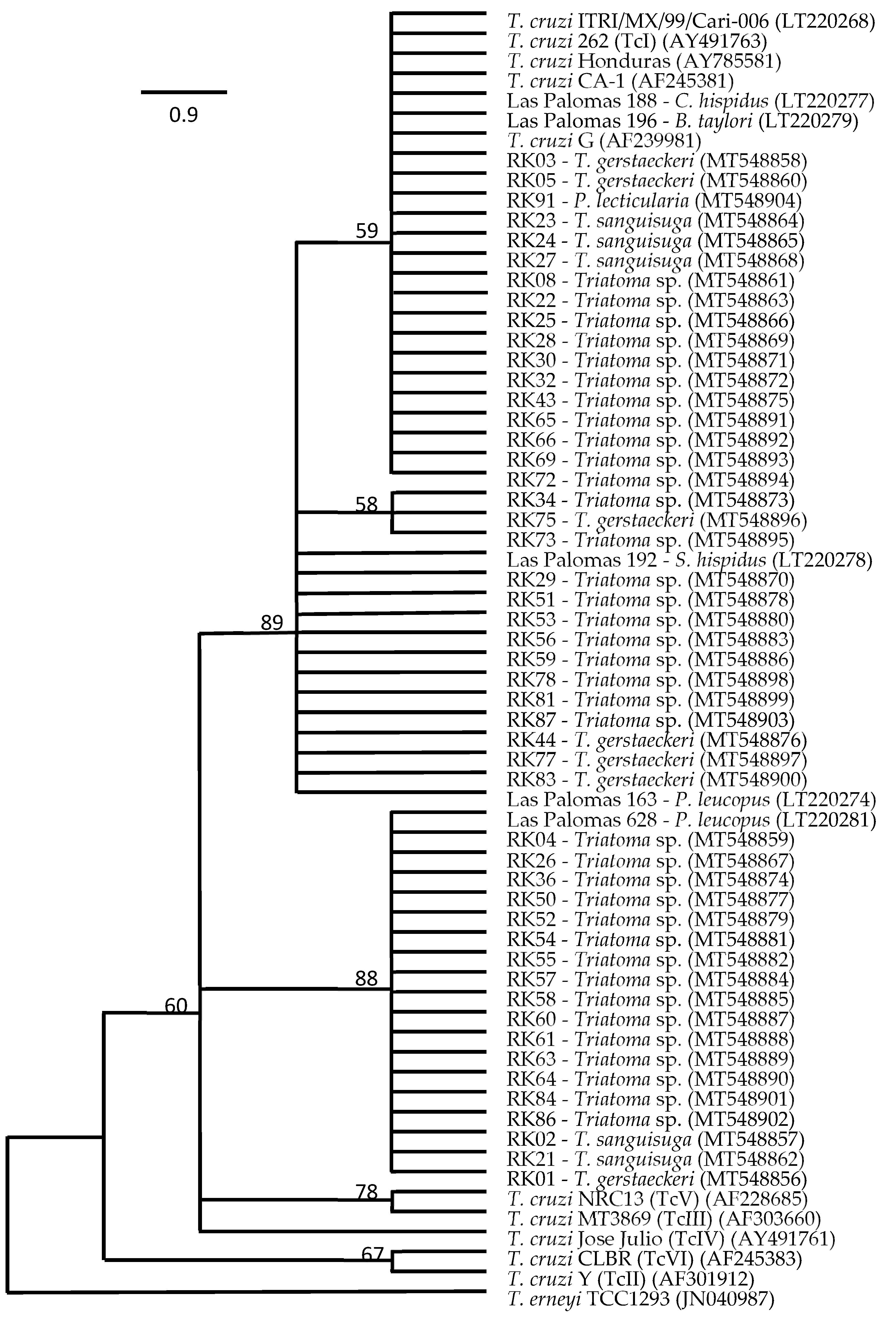 Biology 13 00489 g001