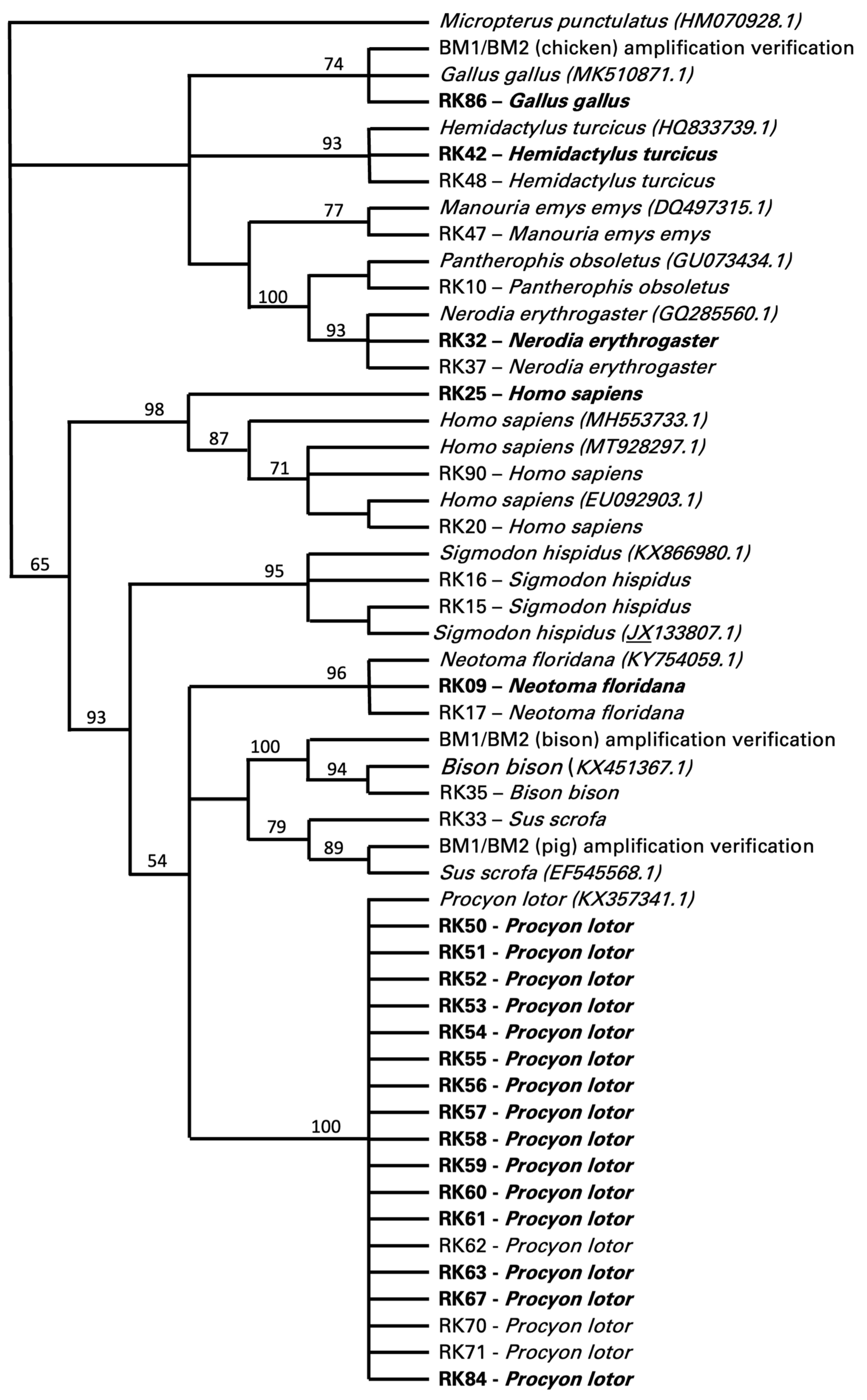Biology 13 00489 g002