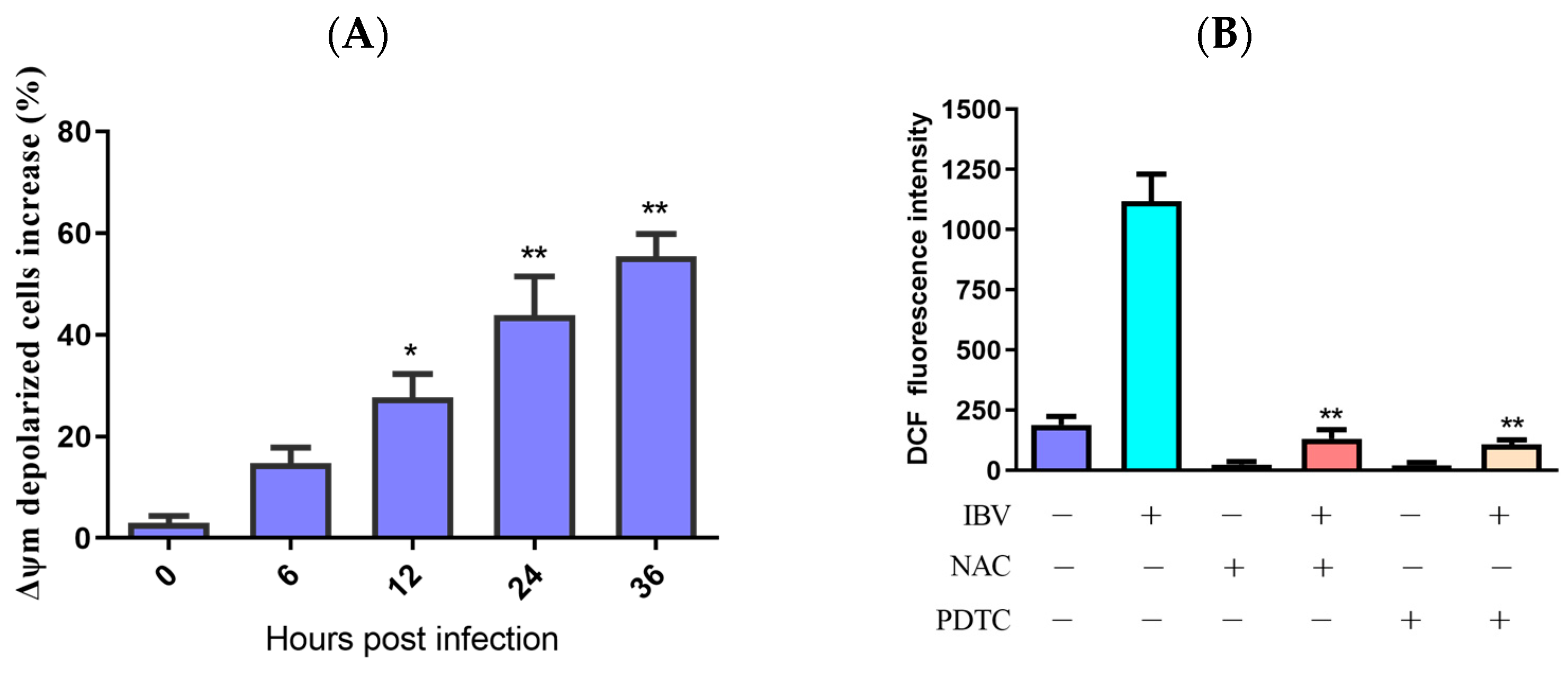 Biology 13 00491 g002a