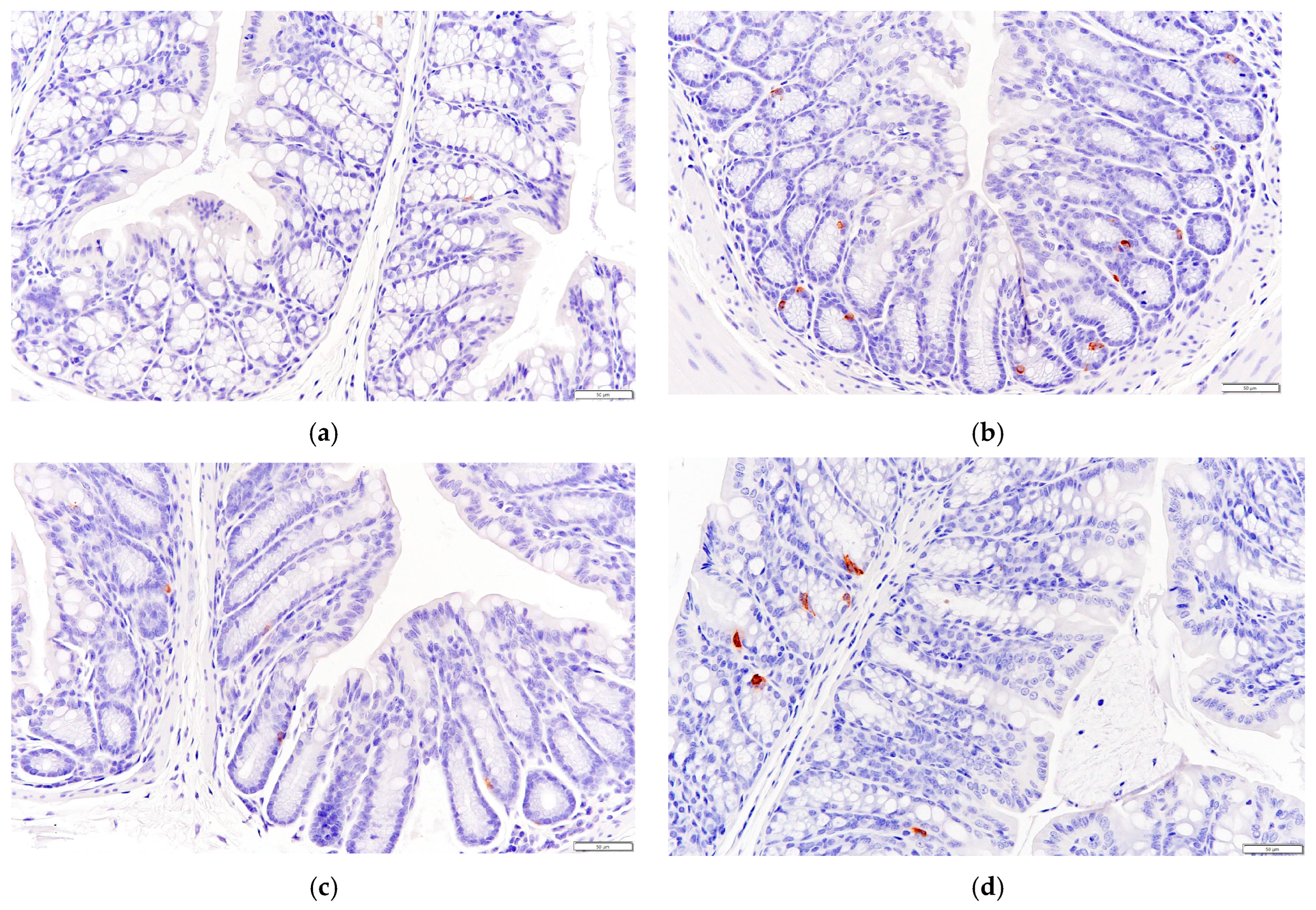 Biology 13 00496 g006