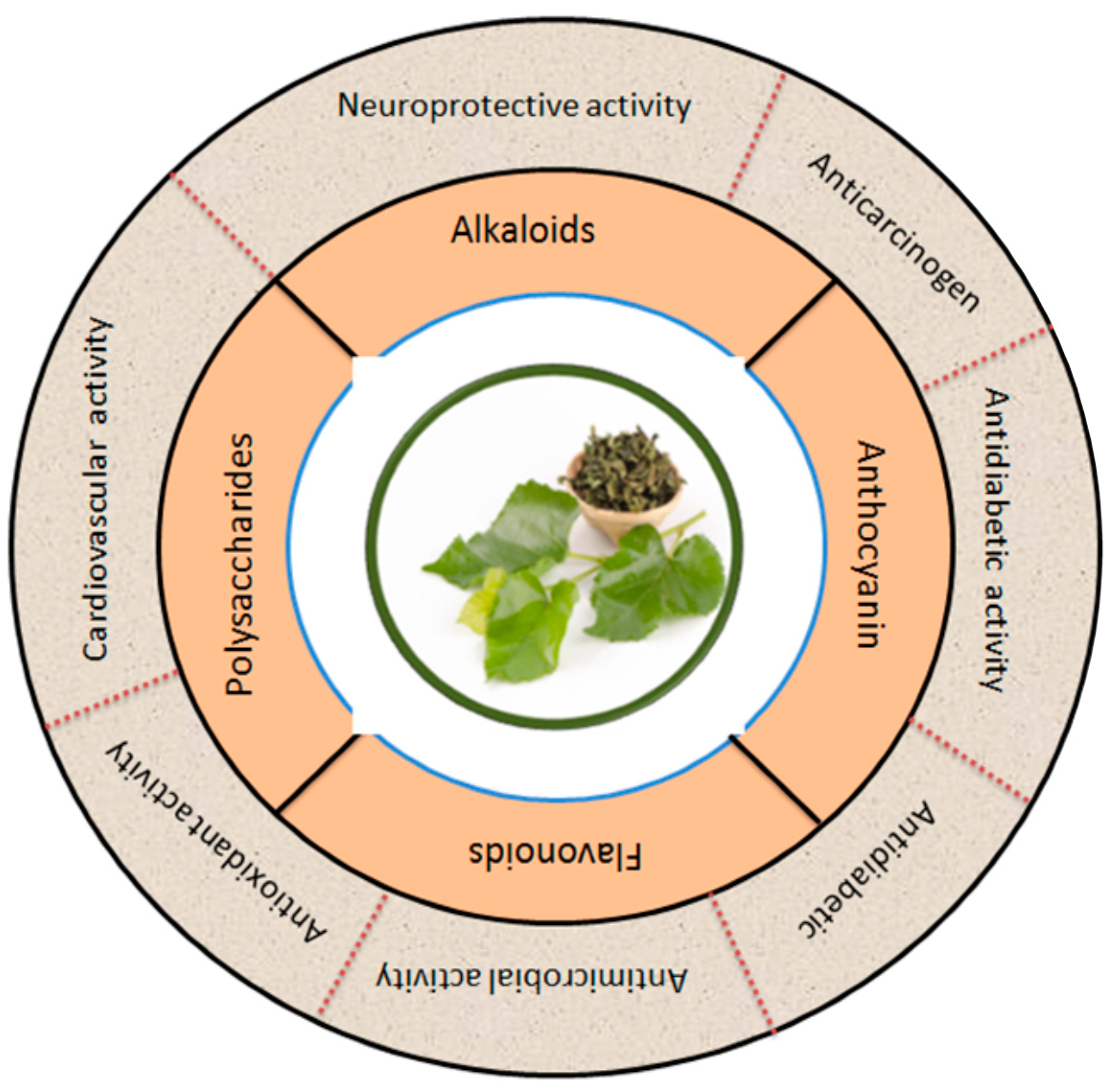 Biology 13 00506 g006
