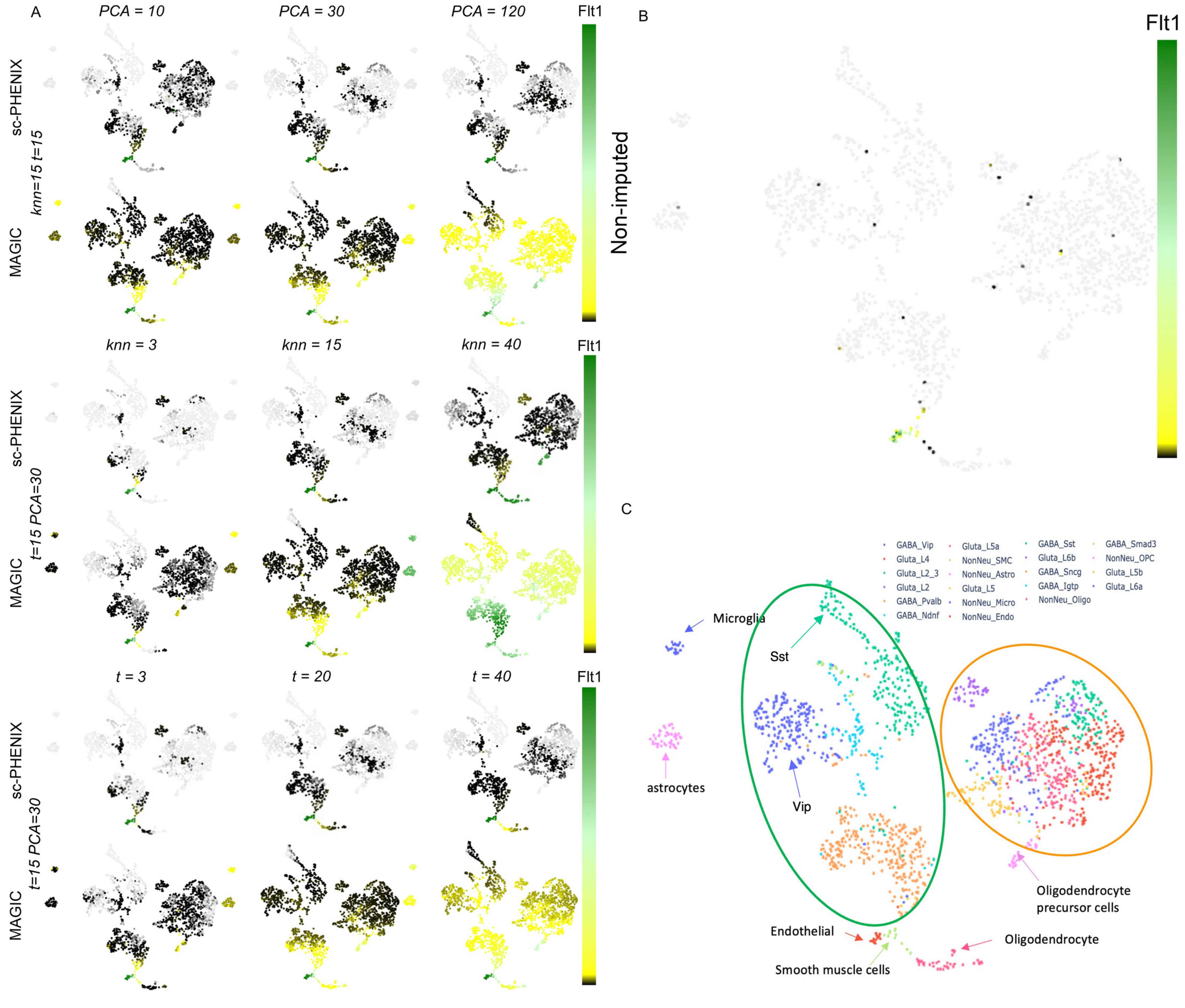 Biology 13 00512 g008