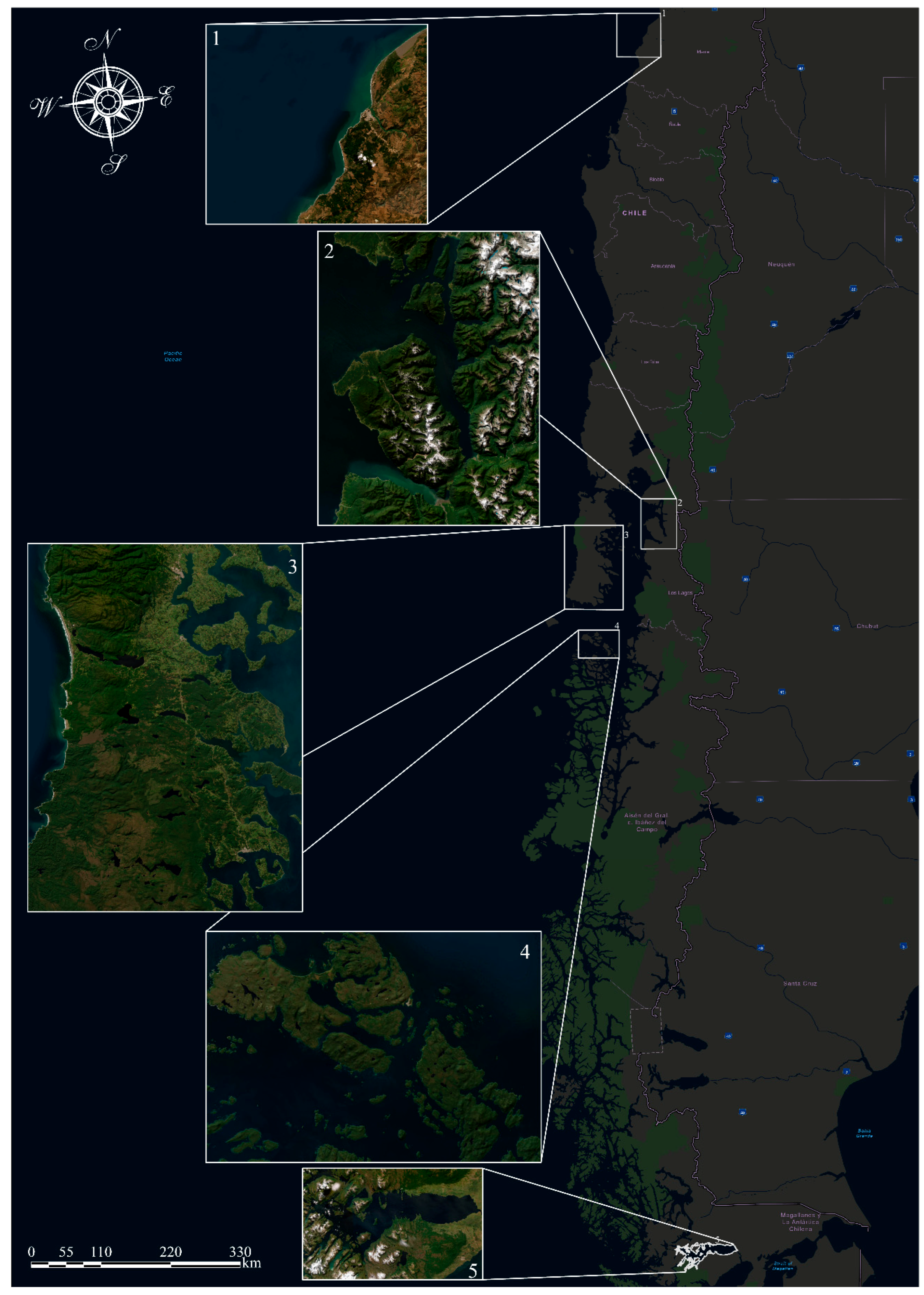 Biology 13 00514 g002
