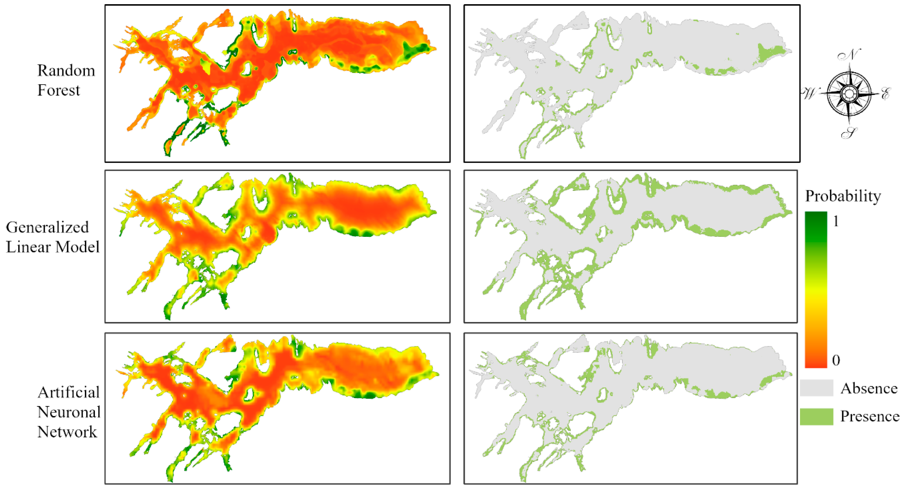 Biology 13 00514 g005