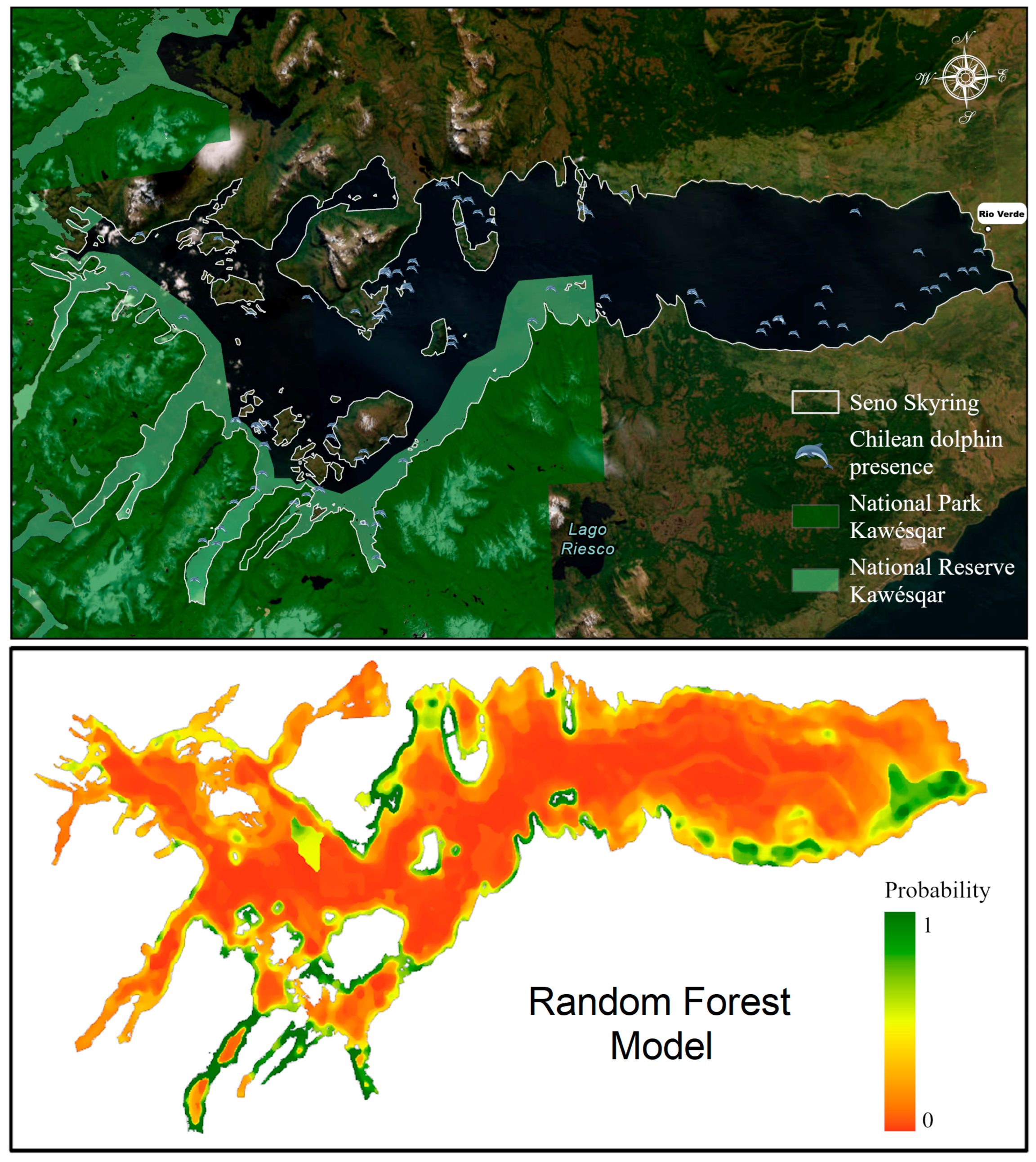 Biology 13 00514 g007
