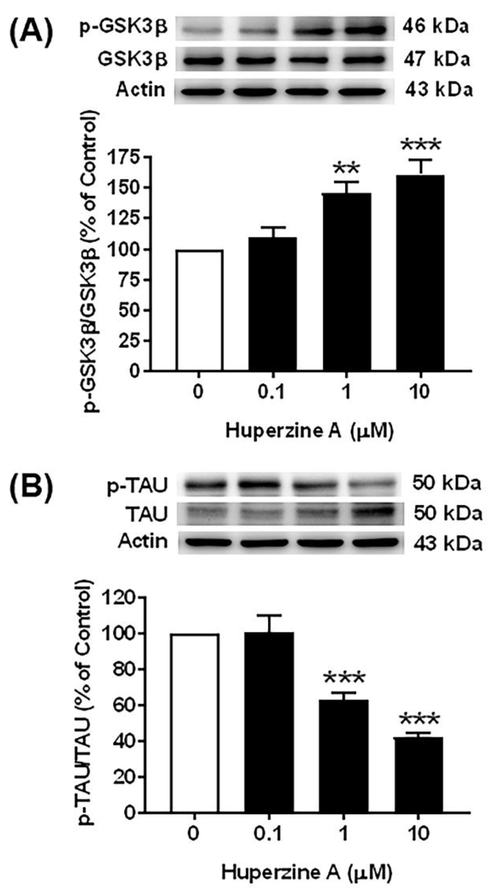 Biology 13 00518 g005