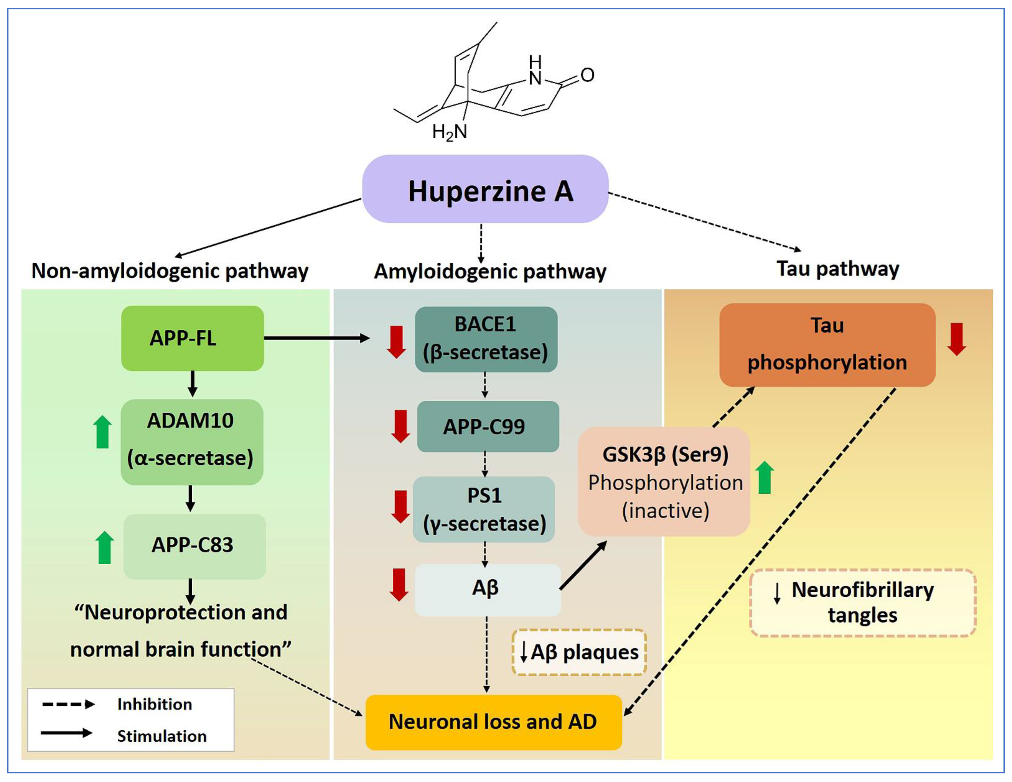 Biology 13 00518 g006