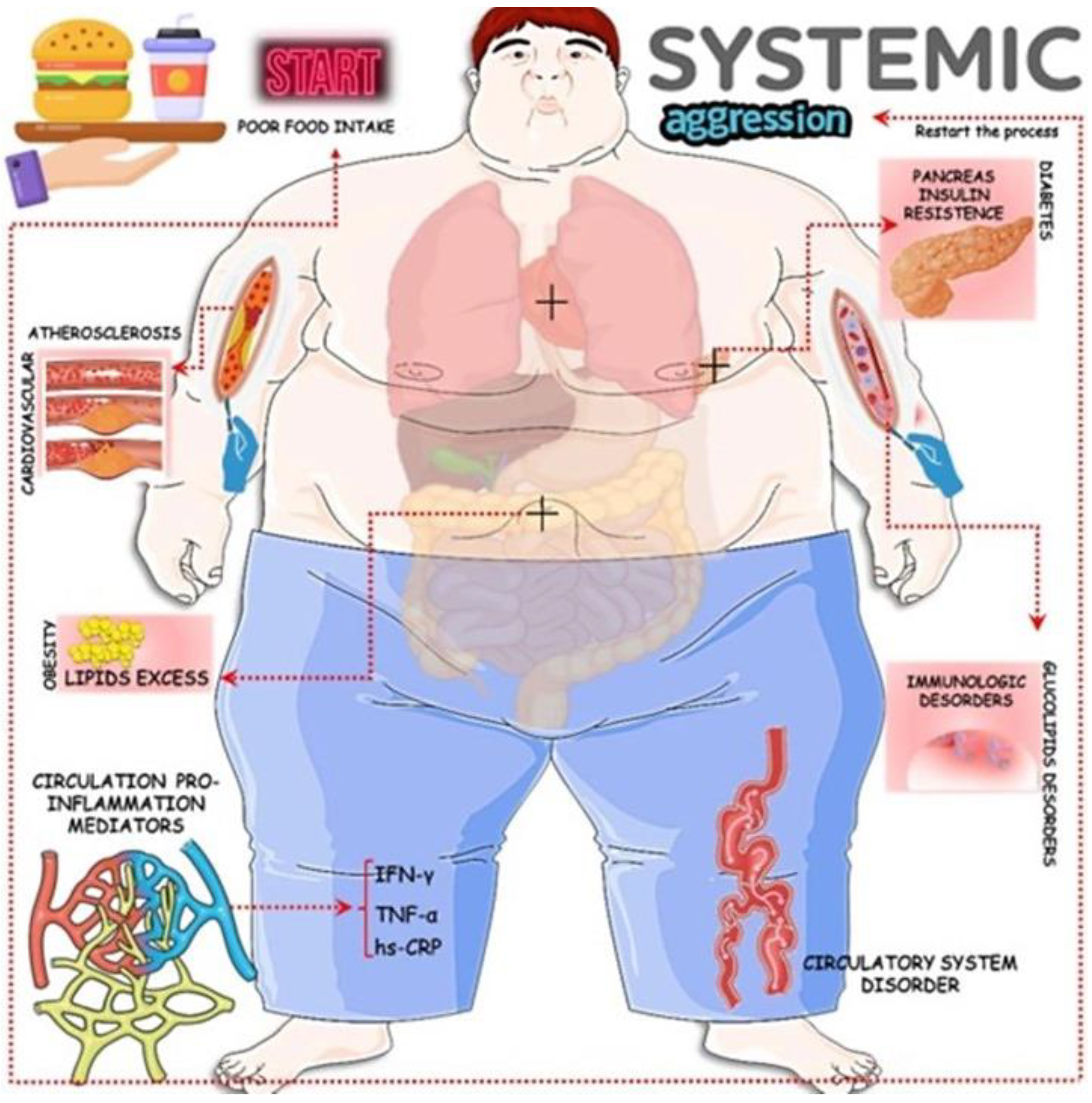 Biology 13 00519 g001