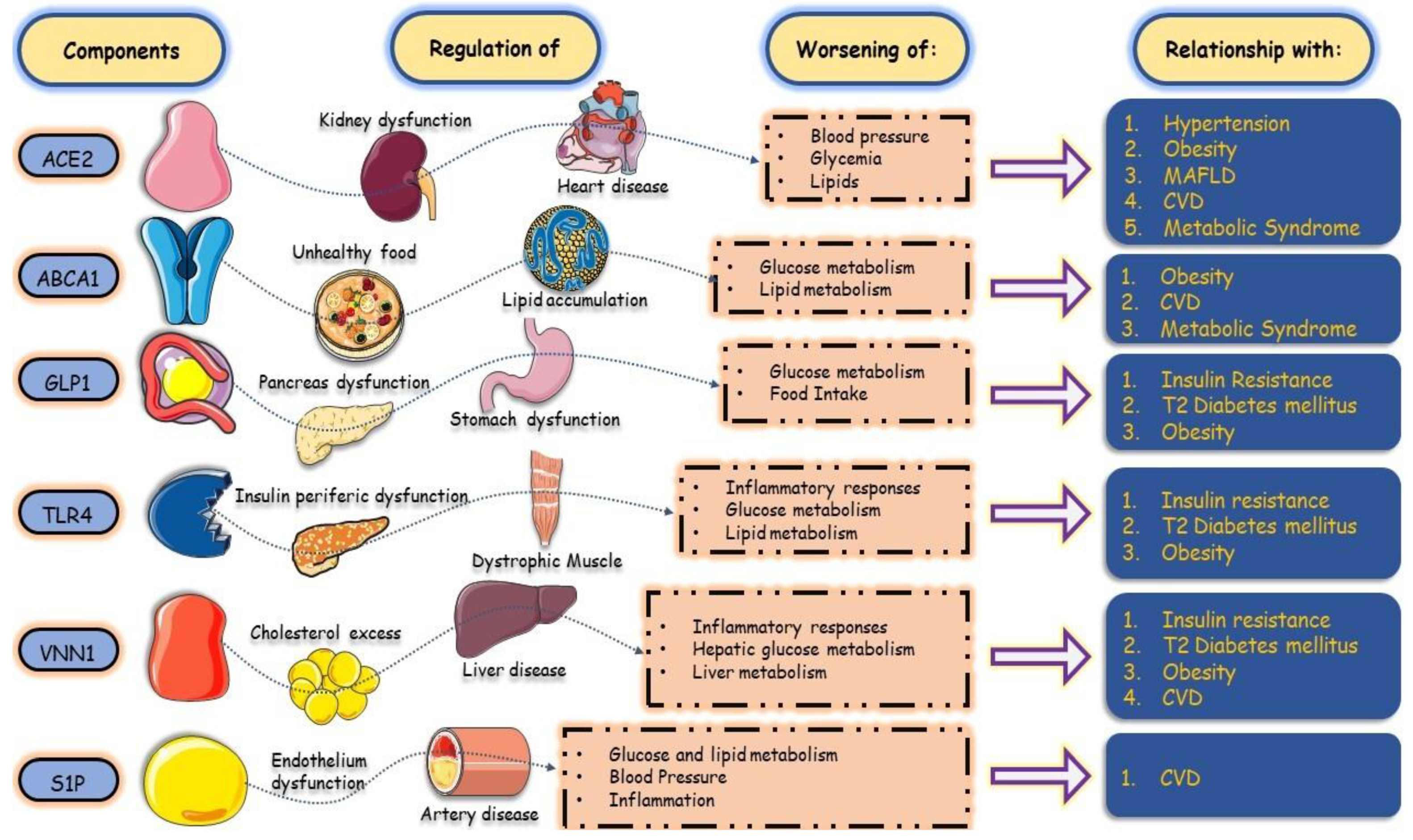 Biology 13 00519 g002