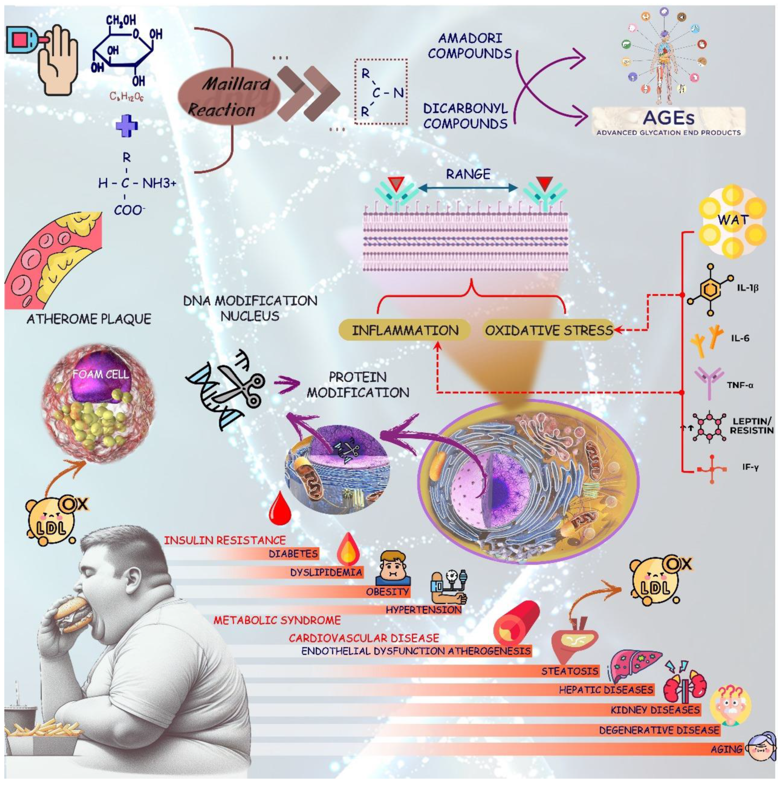 Biology 13 00519 g003