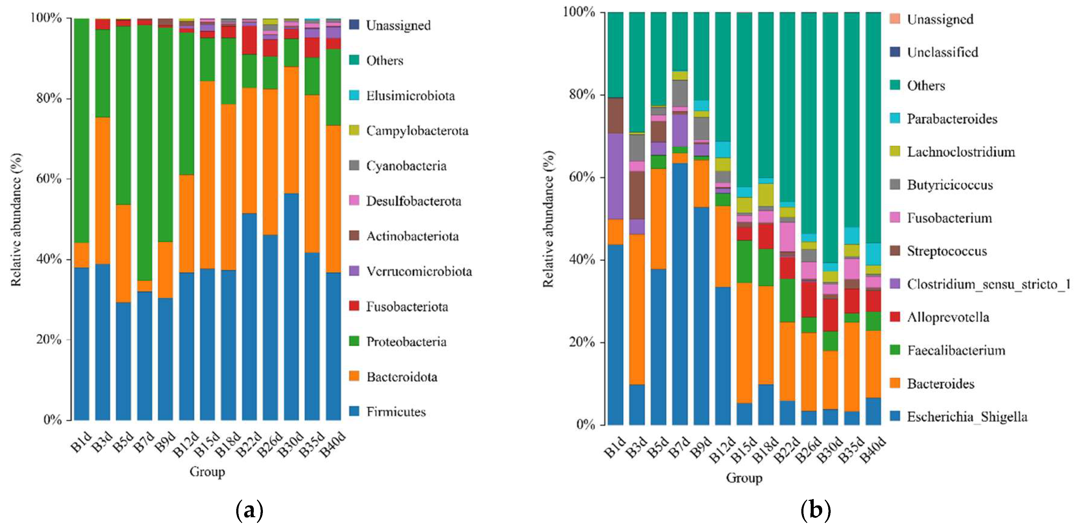 Biology 13 00520 g003a