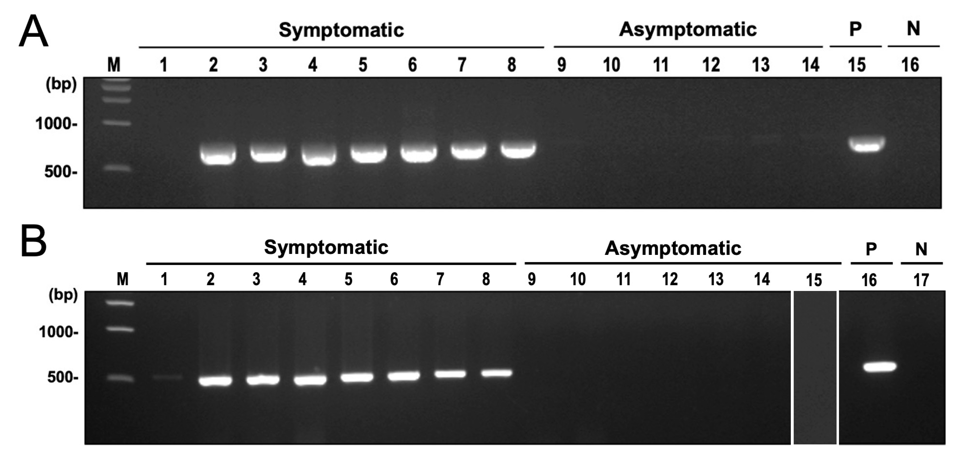 Biology 13 00522 g008