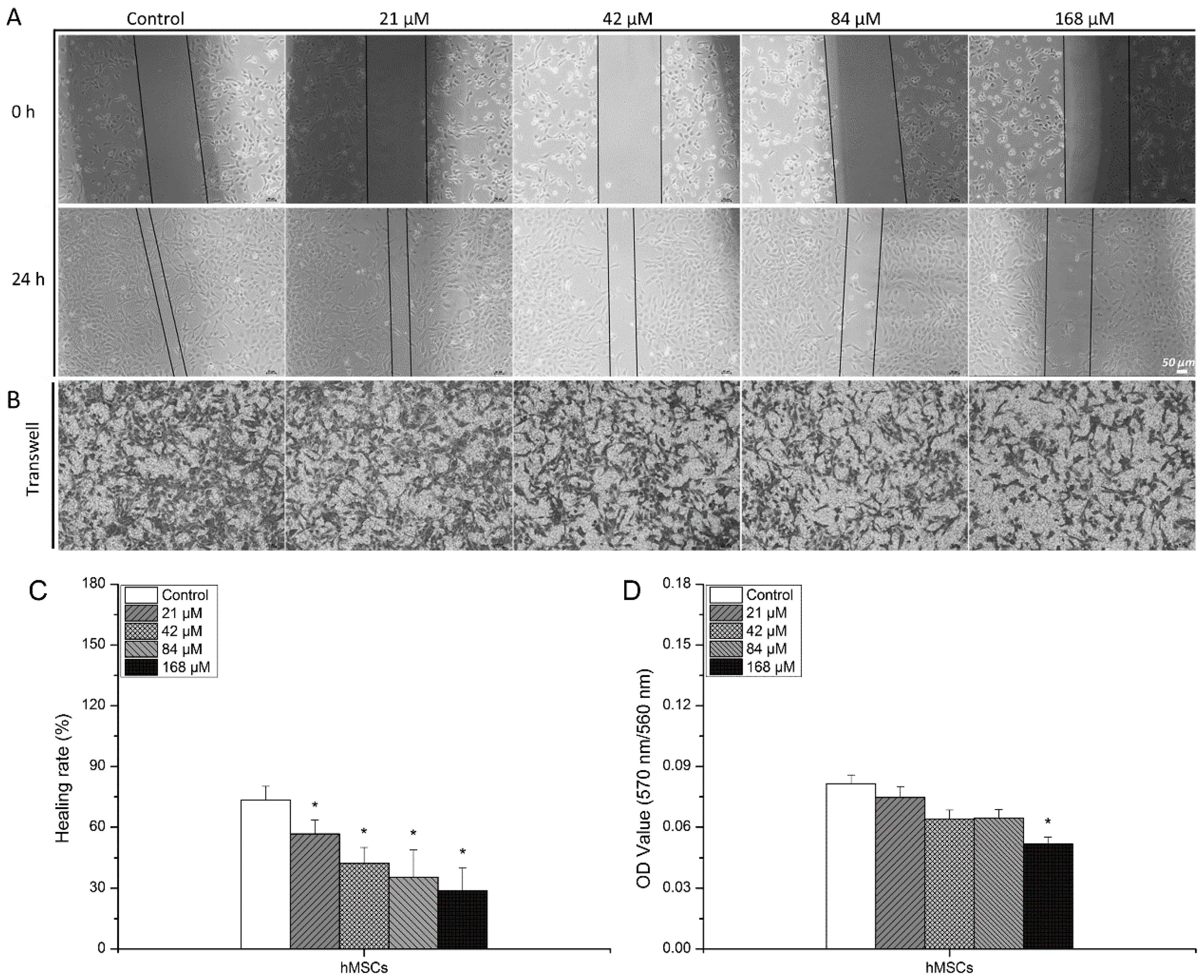 Biology 13 00525 g003