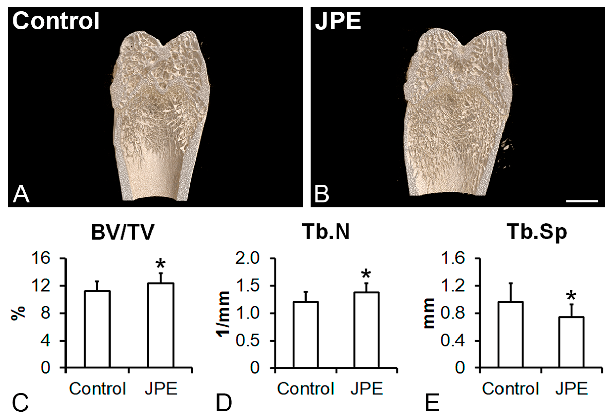 Biology 13 00526 g001