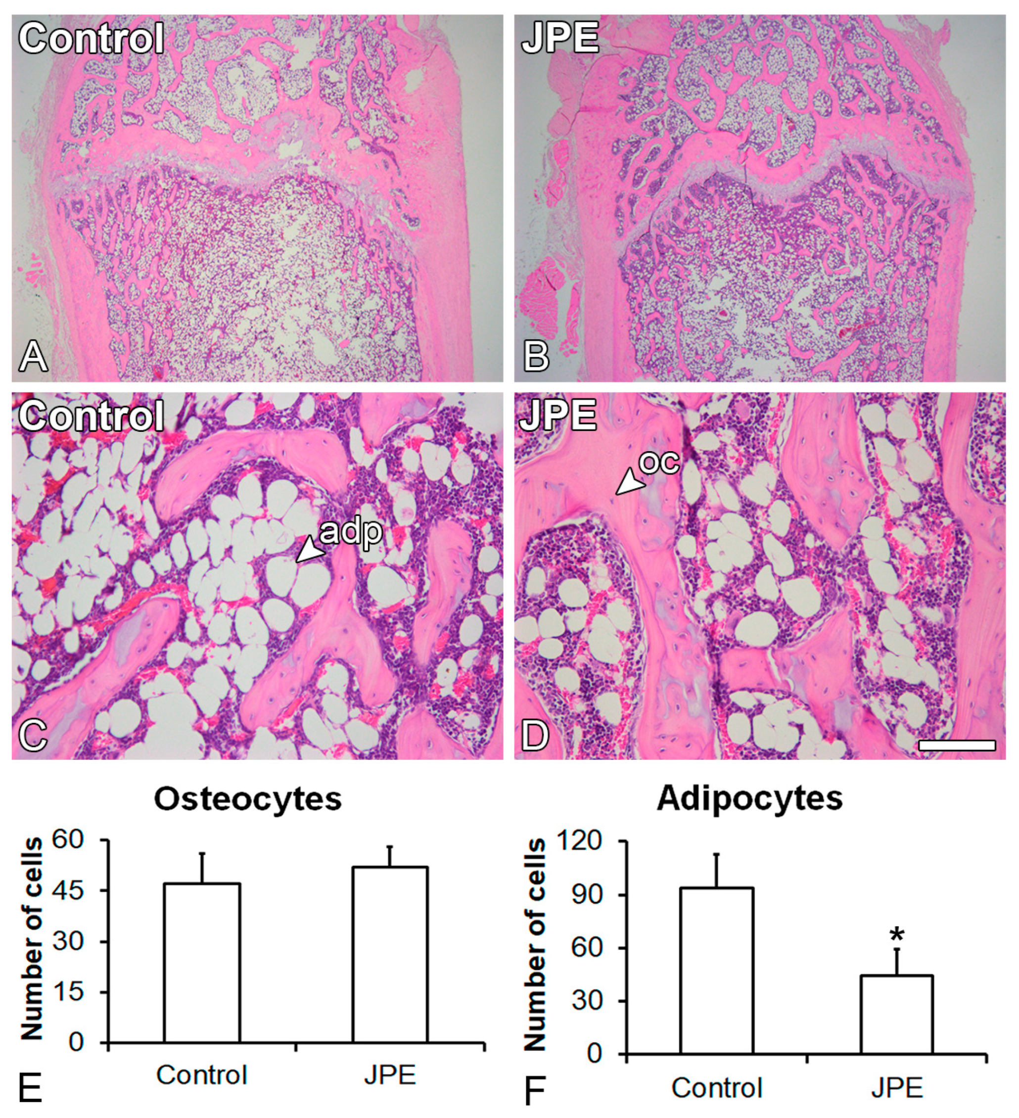 Biology 13 00526 g002